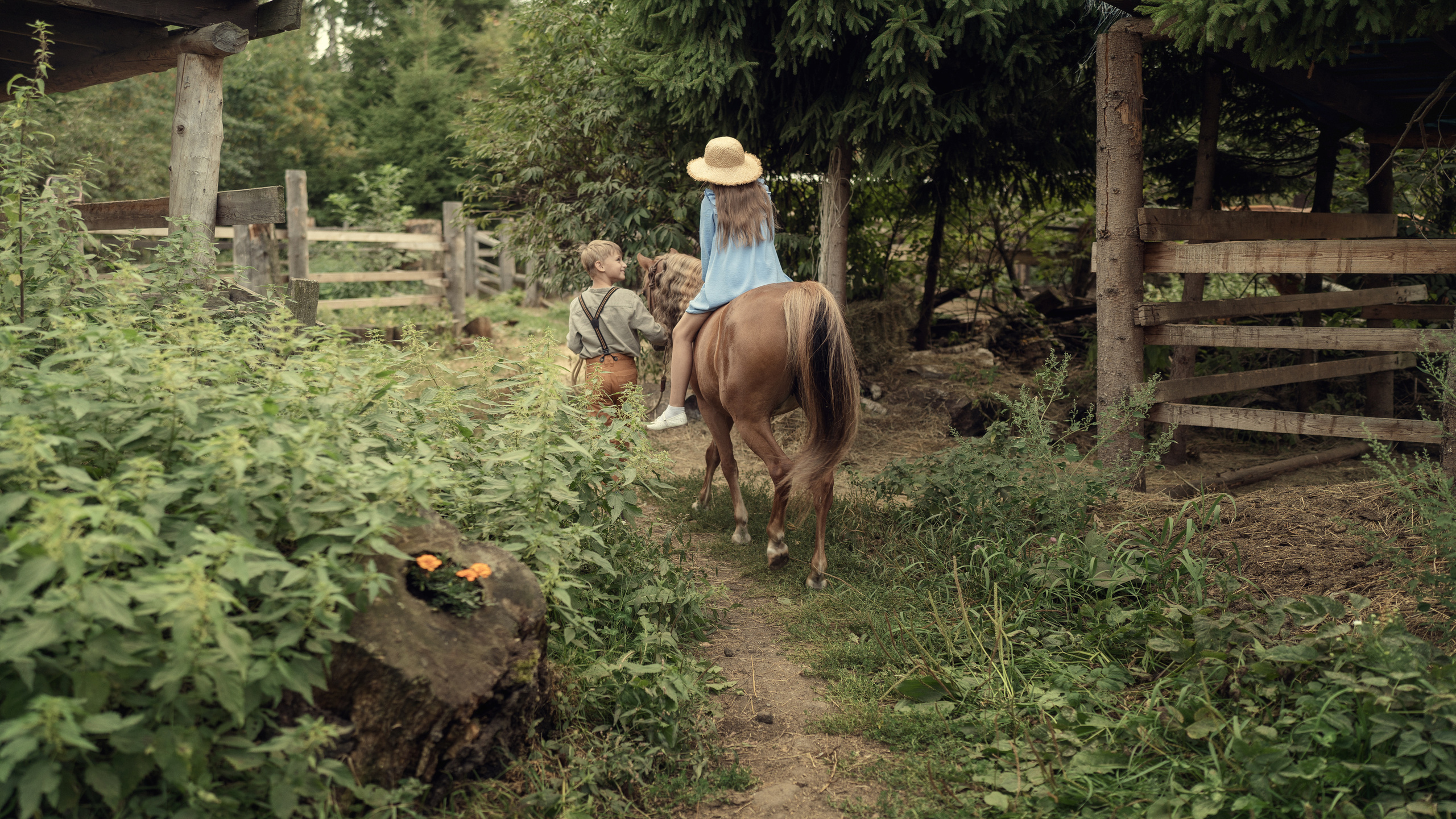 Знакомство. Семейный фотограф Новая Рига (Звенигород, Истра) Евгения Литовченко