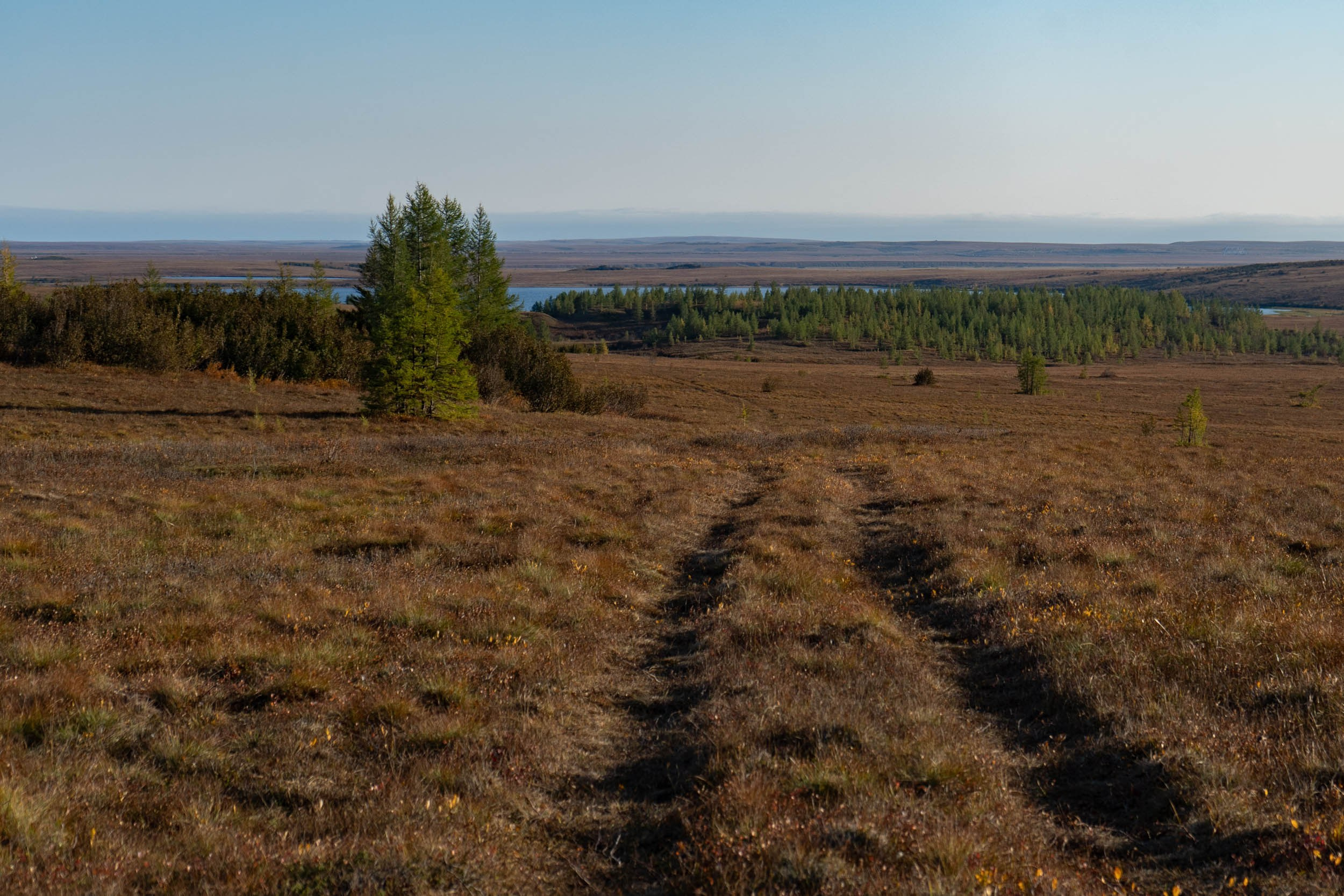 Рифы девонского моря. Фотограф Екатерина Зорина