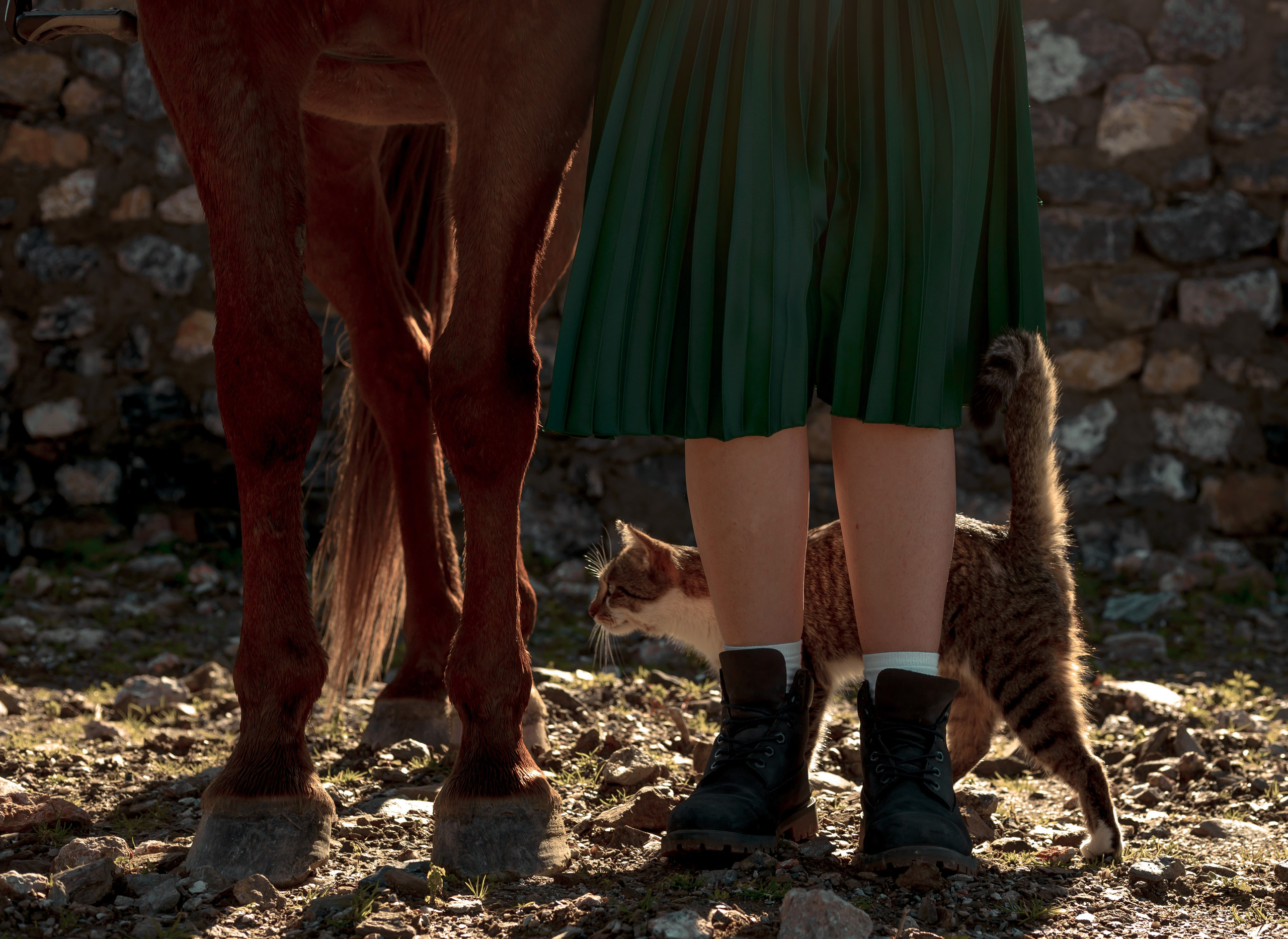 Turkey, Alanya. Art Photographer