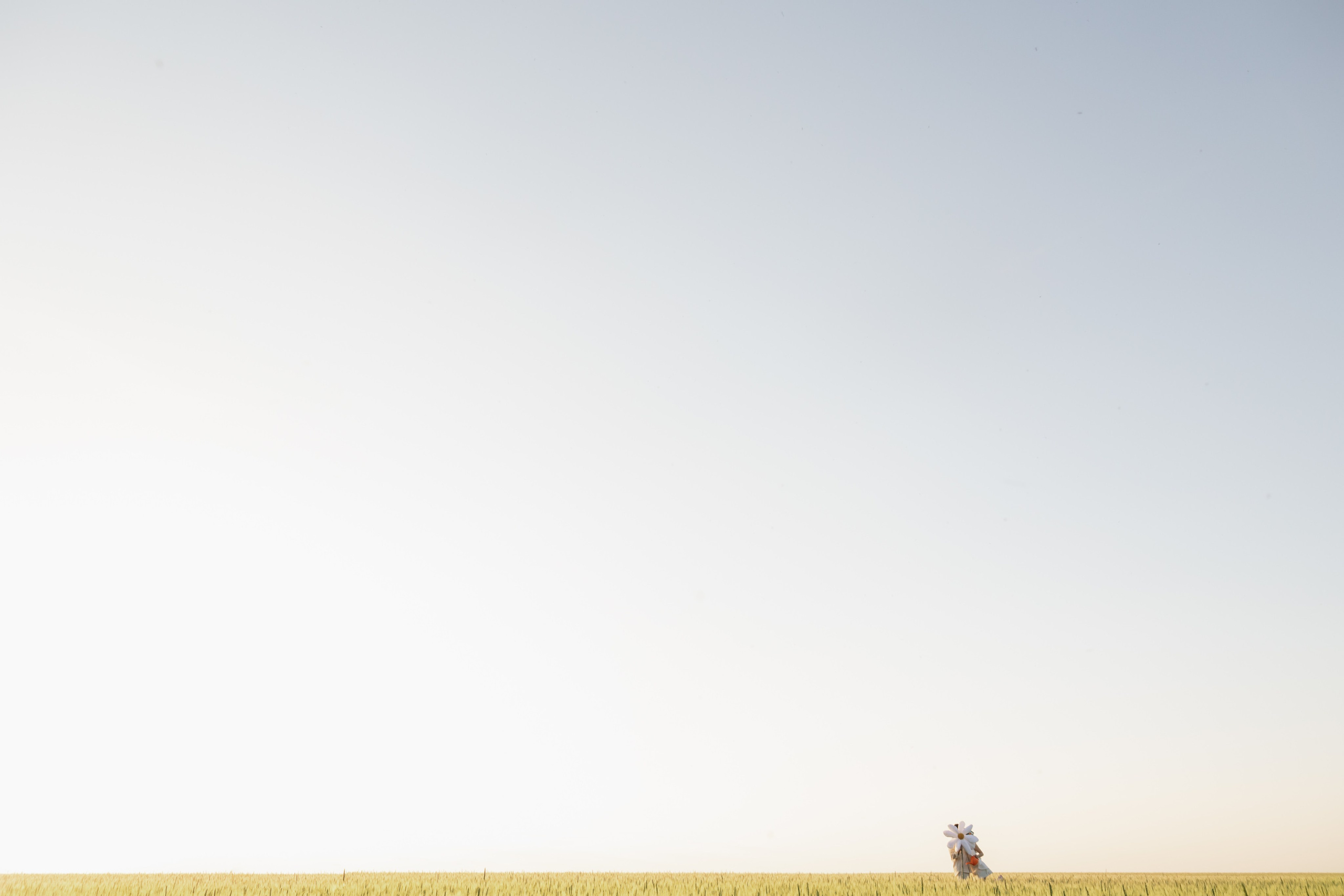 Ромашки. Свадебный фотограф Воронеж Москва СПБ