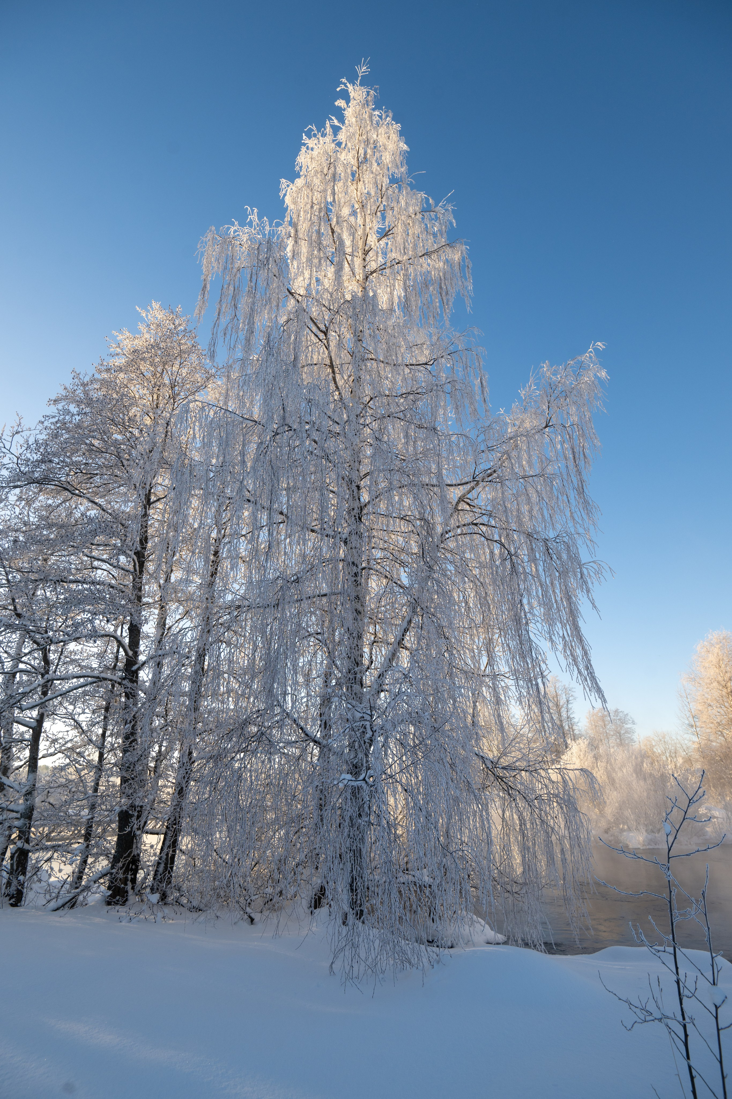 Пейзаж. Документальный фотограф Сергей Вдовин