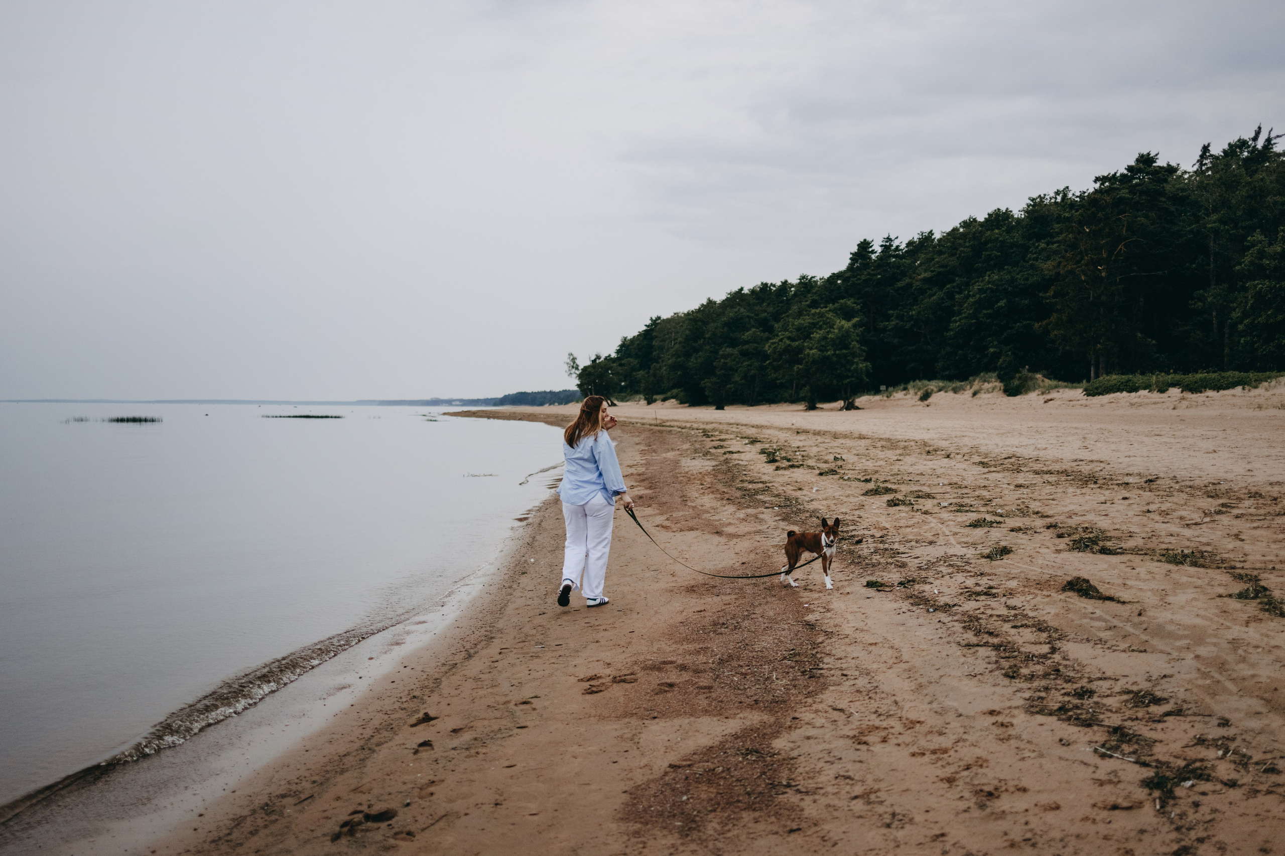 Даша и Арчи. Фотограф — Анималист | Санкт-Петербург