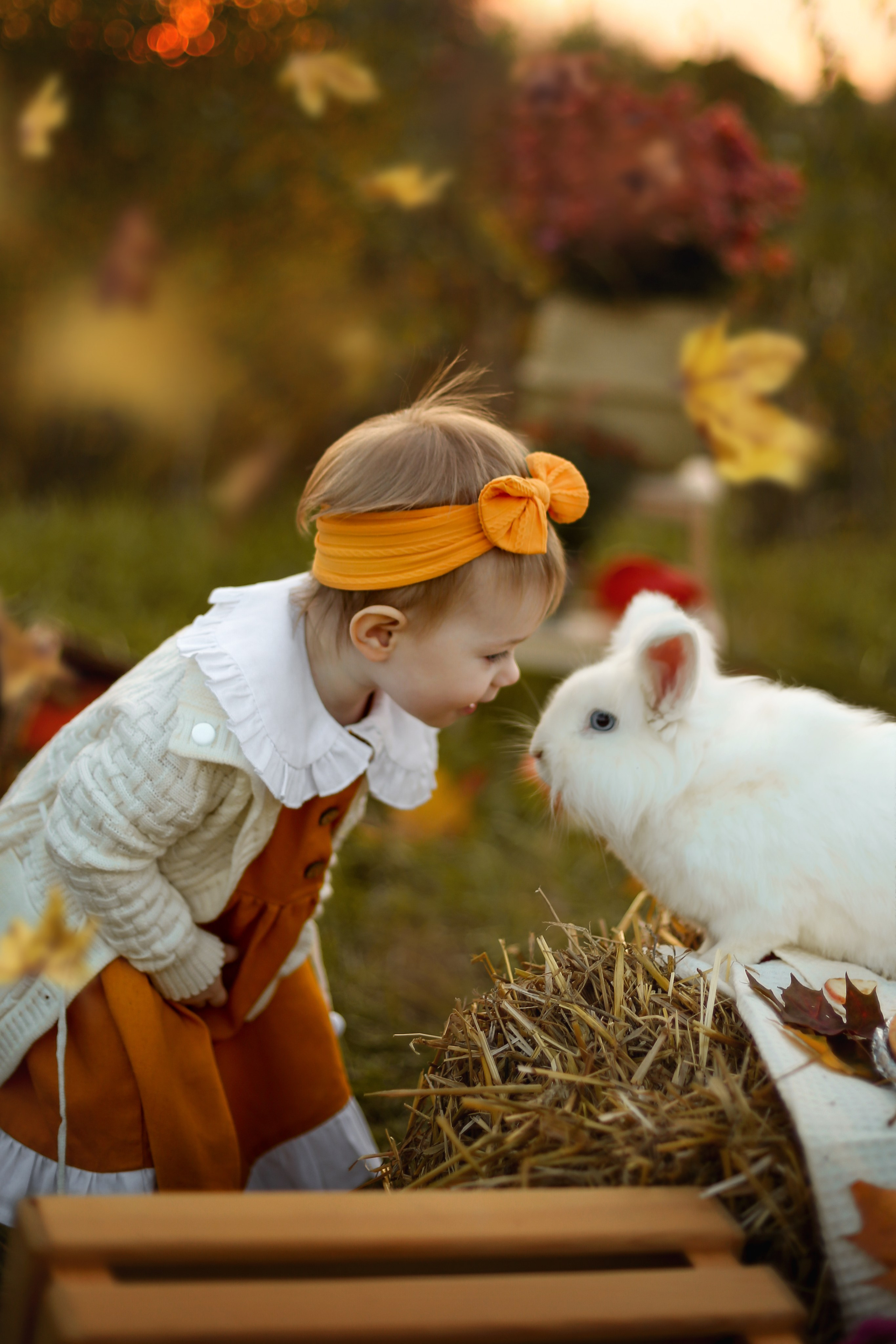 Осенний пикник с кроликом. Фотограф Ульянкина Мария