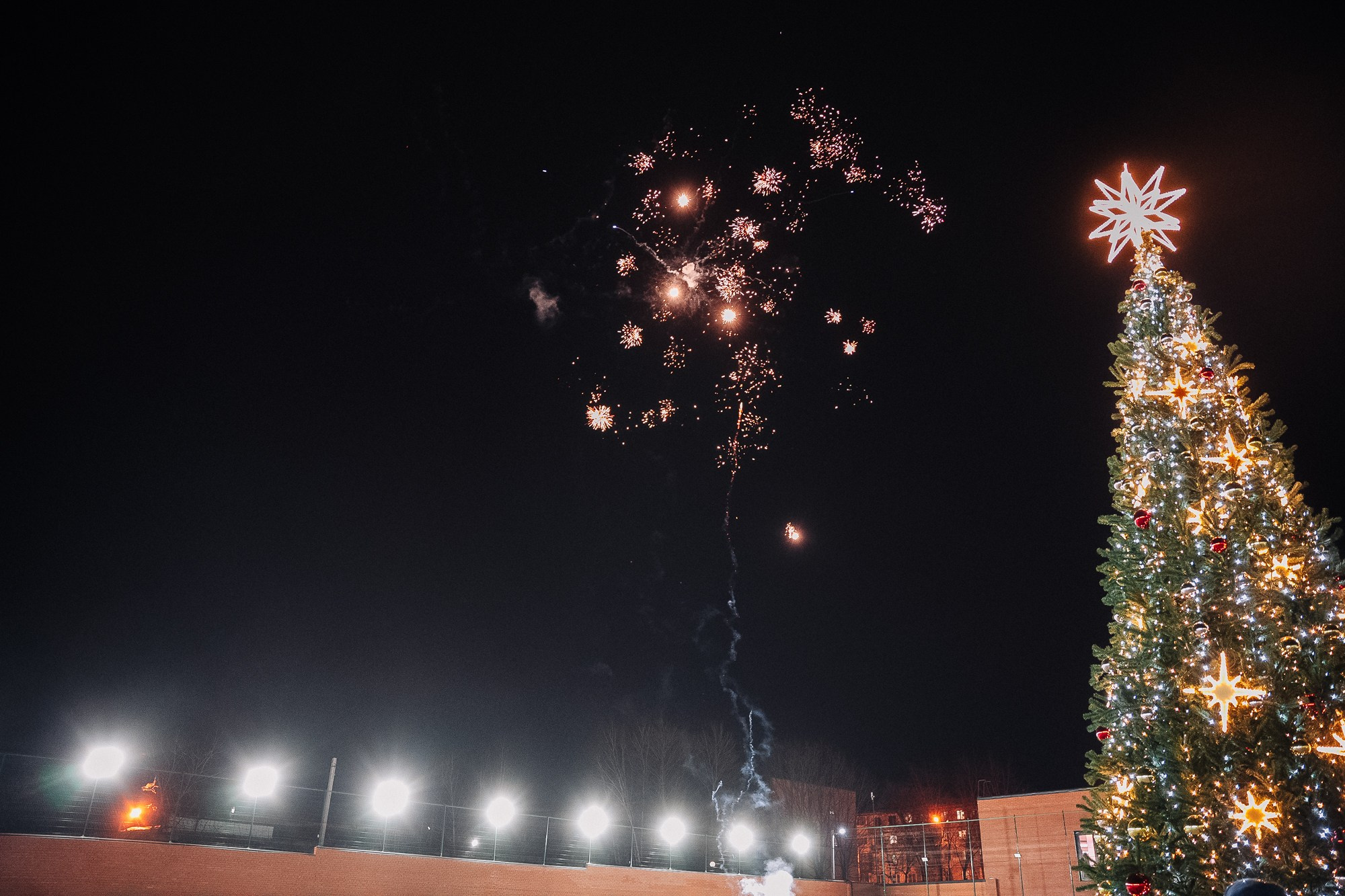 ИСКРА. Фотограф в Хабаровске Швендых Рудольф