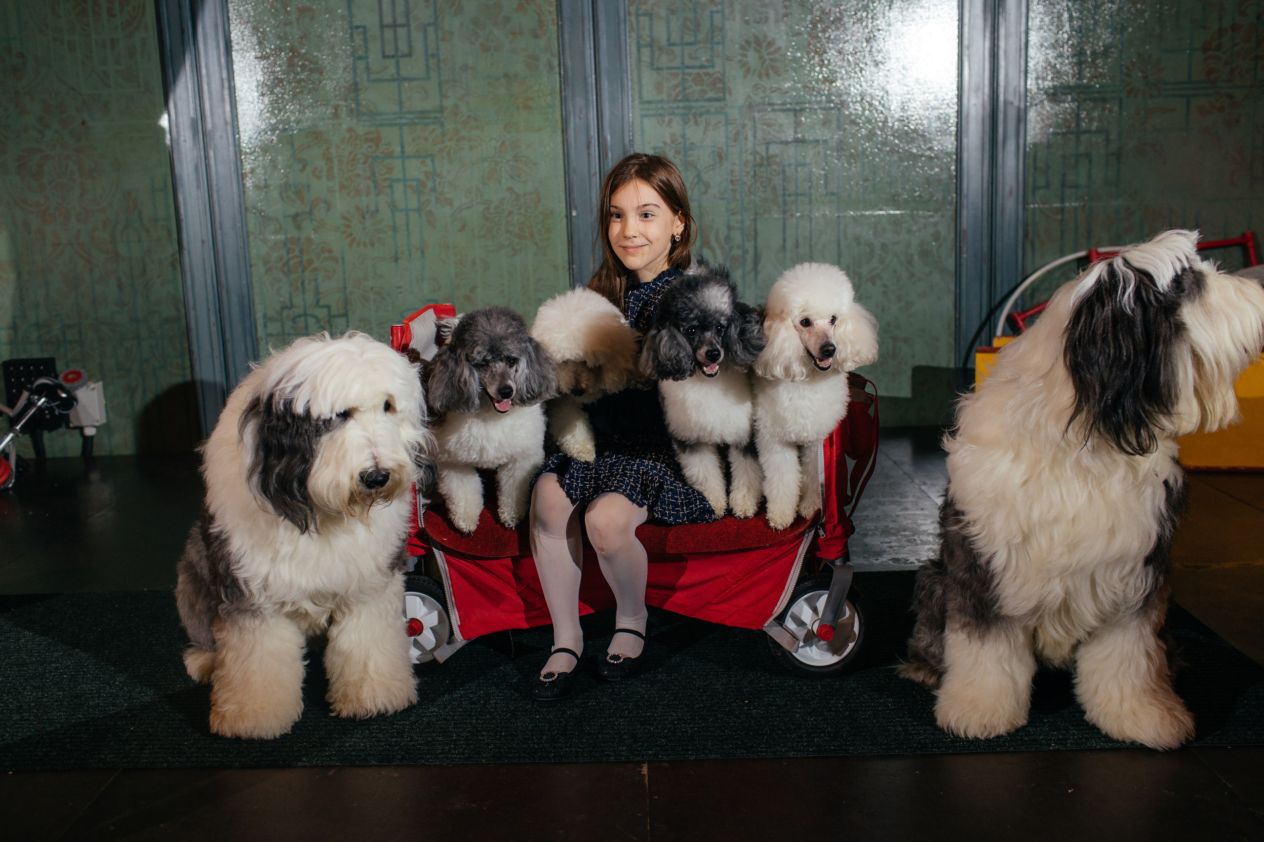 Алине 7 лет. Свадебный и семейный фотограф