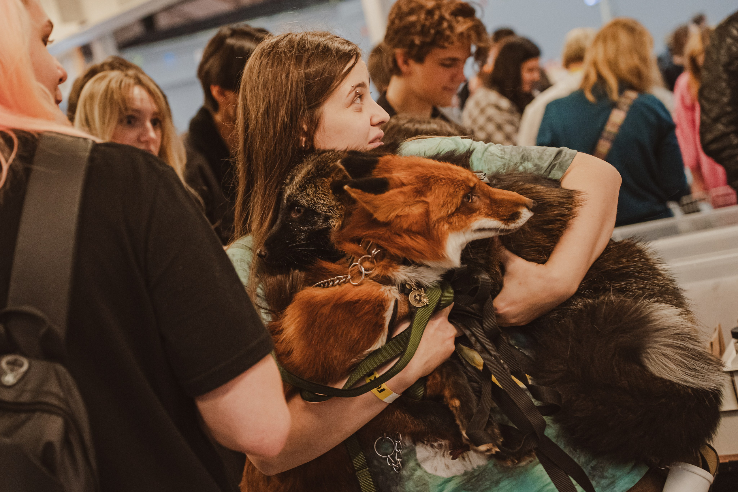 Fox Family fest. Репортажный фотограф Анастасия Рубцова