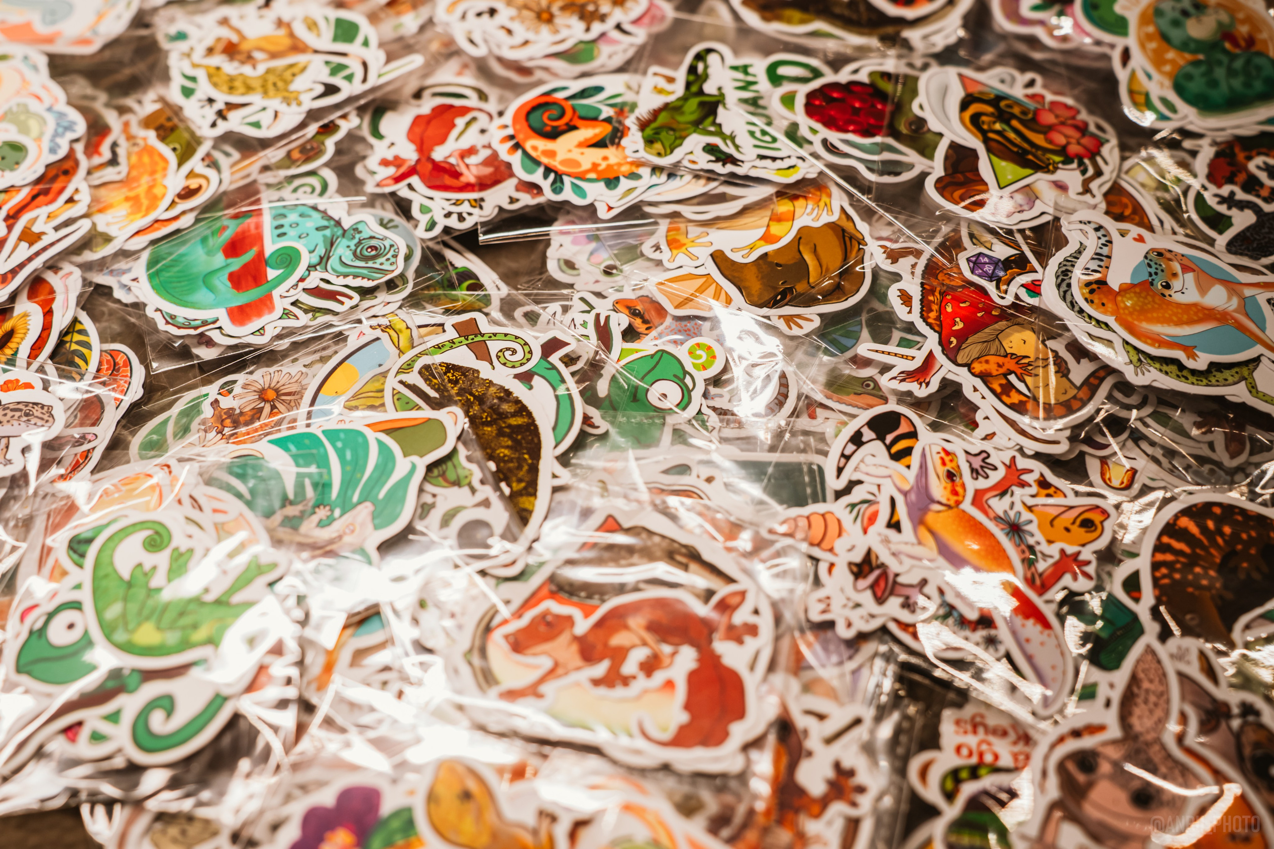 Рептилиум (ручная работа). Репортажный фотограф Анастасия Рубцова