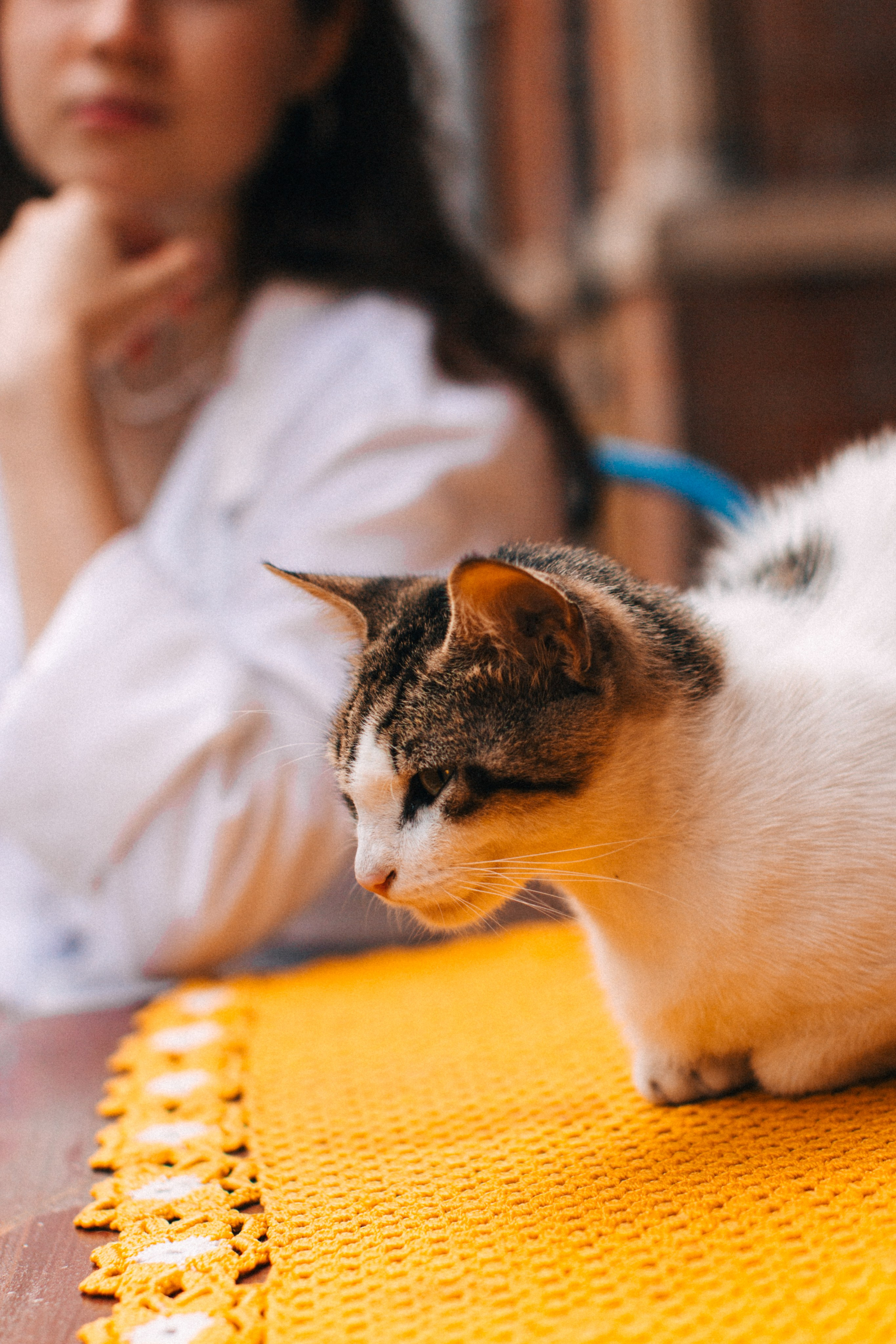 Istanbul, Turkey. Свадебный фотограф Москва и МО Паншина Дарья