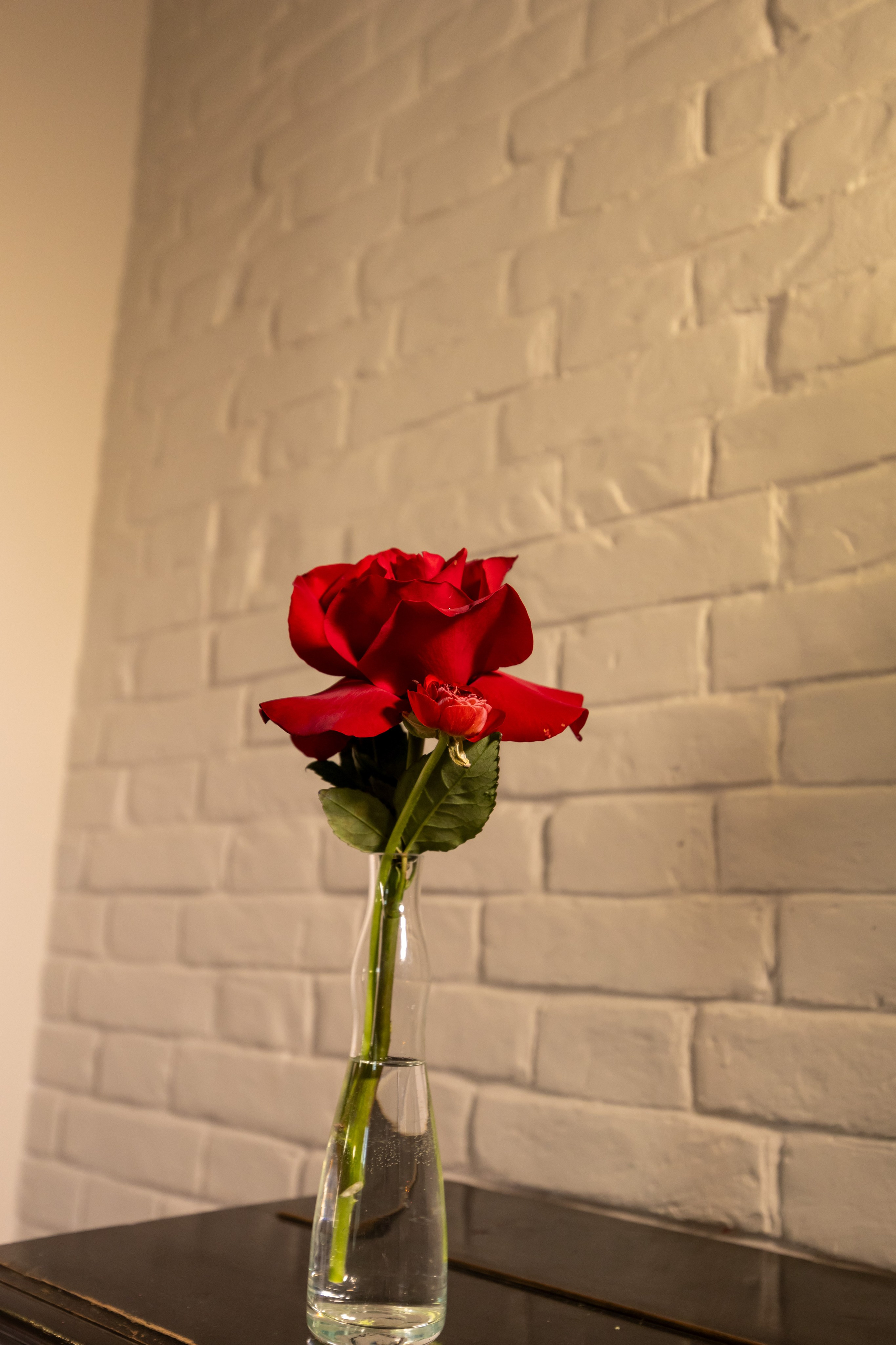 Арина & Константин. Яна Чхан — Фотограф в Донецке и не только