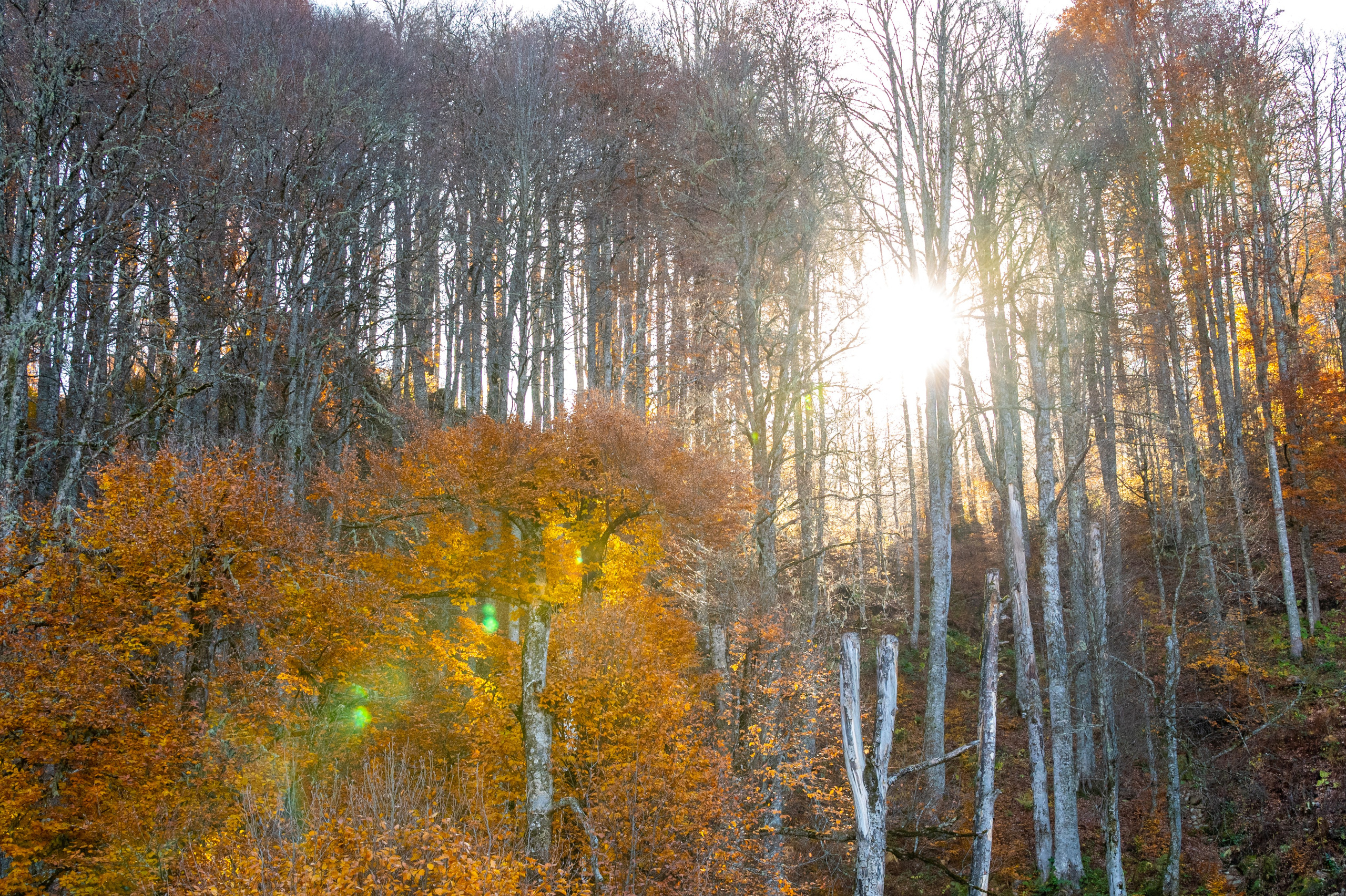 Mice мероприятие — прогулка на водопад Поликаря на курорте Красная Поляна. Репортажный фотограф в Красной Поляне и Сочи Павлюченко Екатерина