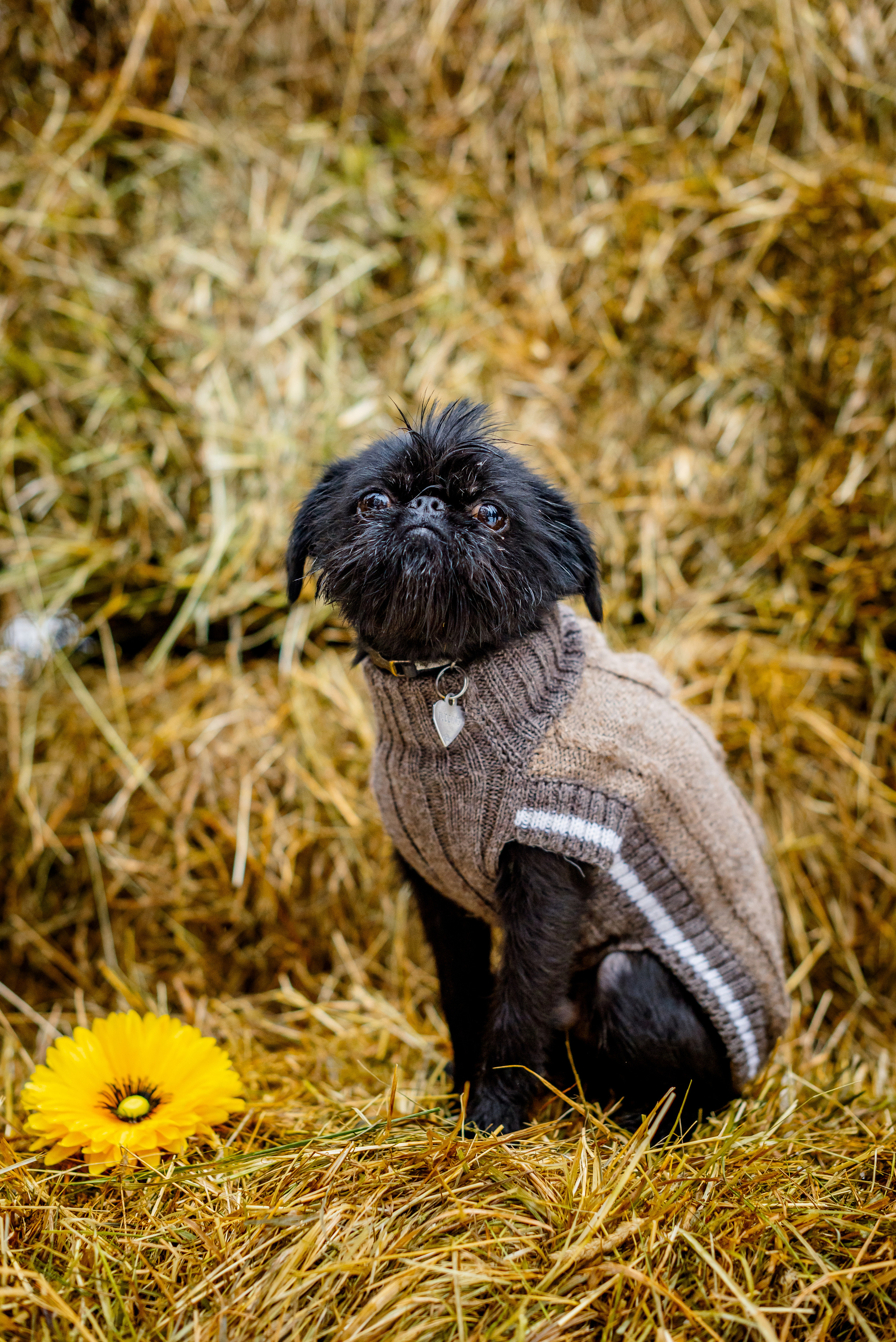 Масленица 🥞. Станислав Тюрин Фотограф Москва. Индивидуальные и семейные фотосессии;