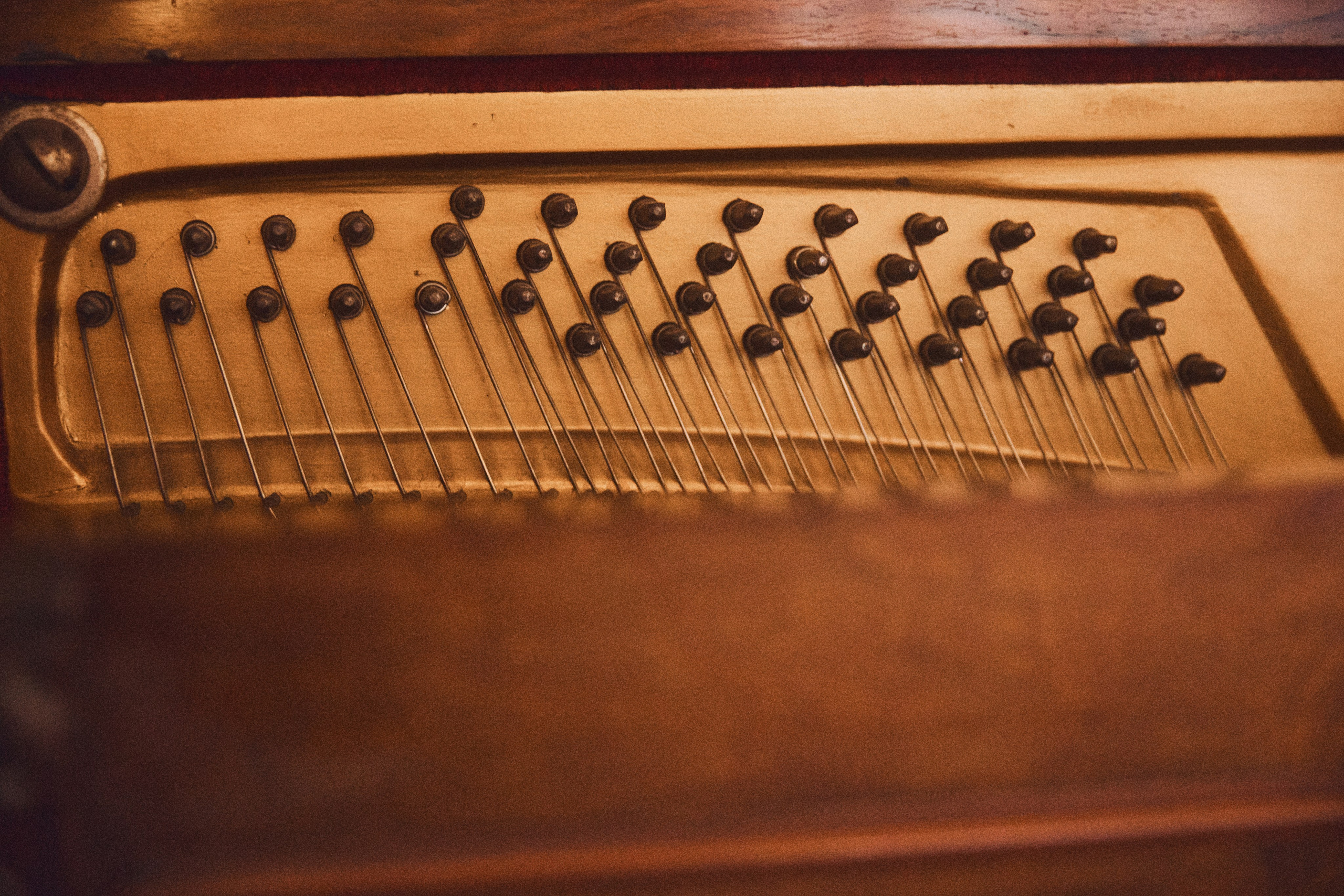 50 YEARS TOGETHER. Дмитрий Мазуркевич: Профессиональный Репортажный Фотограф