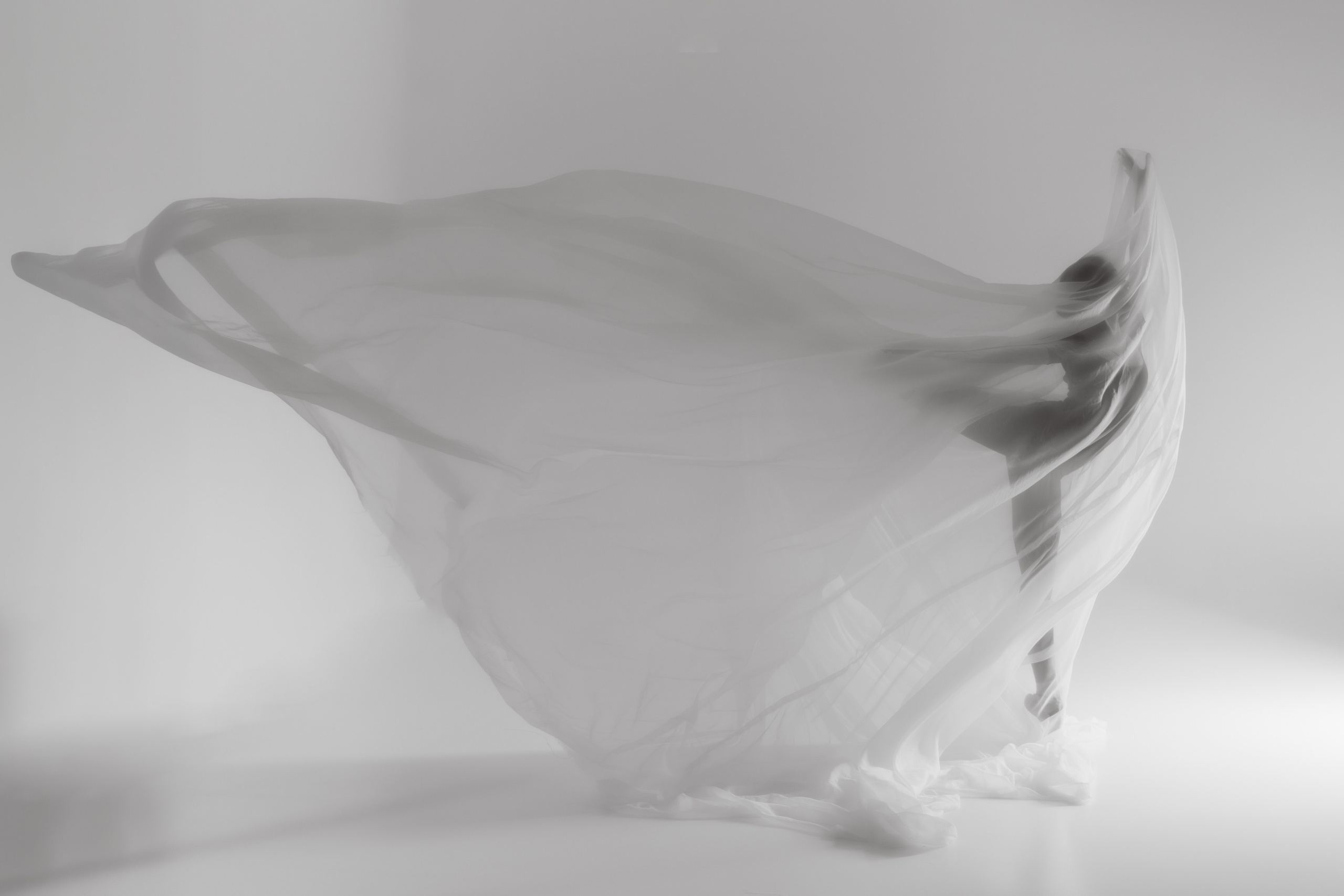 ТВОРЧЕСТВО. Семейный и репортажный фотограф Наташа Давыдова