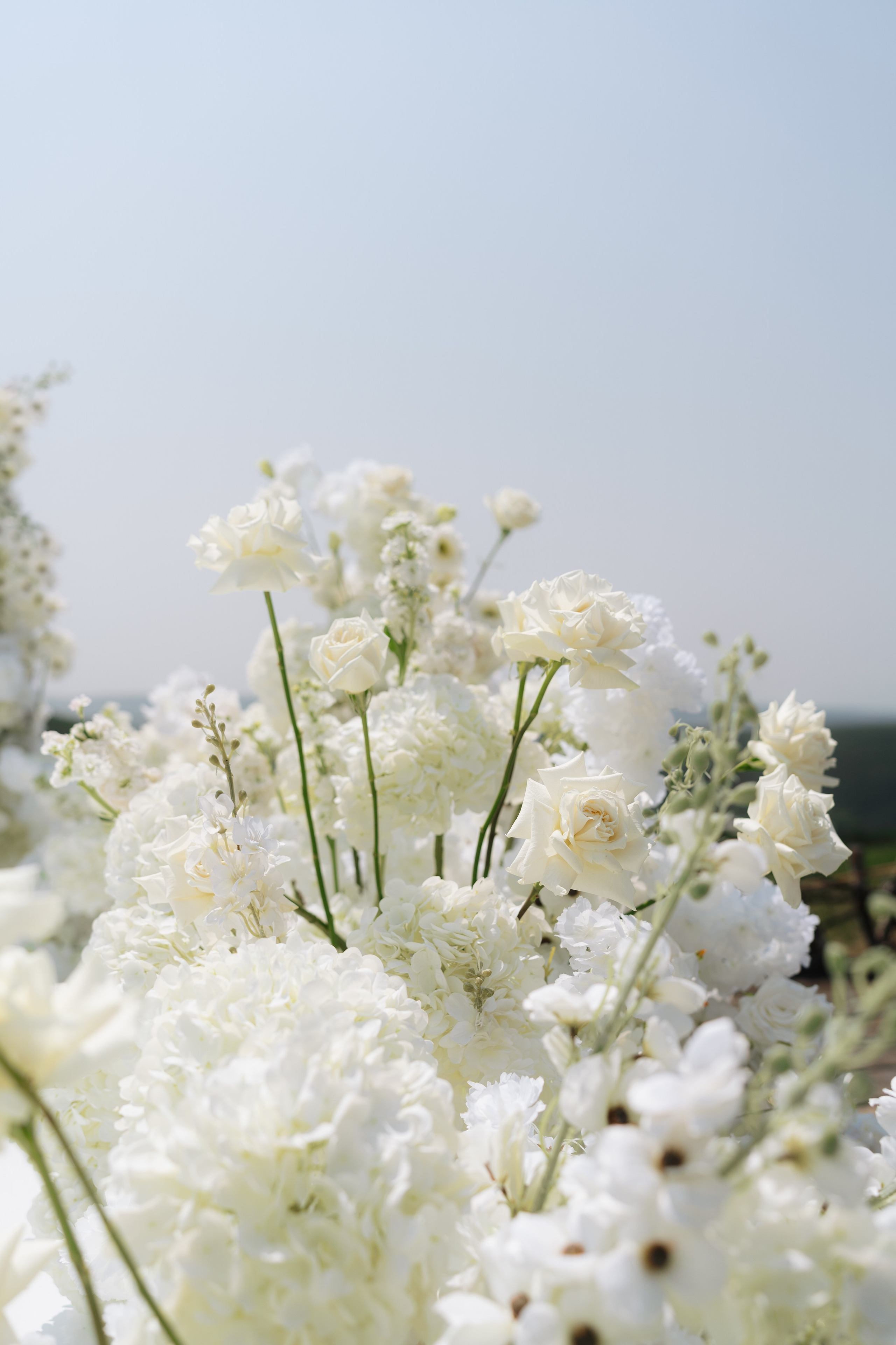 Анастасия & Дмитрий. Свадебный и портретный фотограф Алена Седининна в Крыму