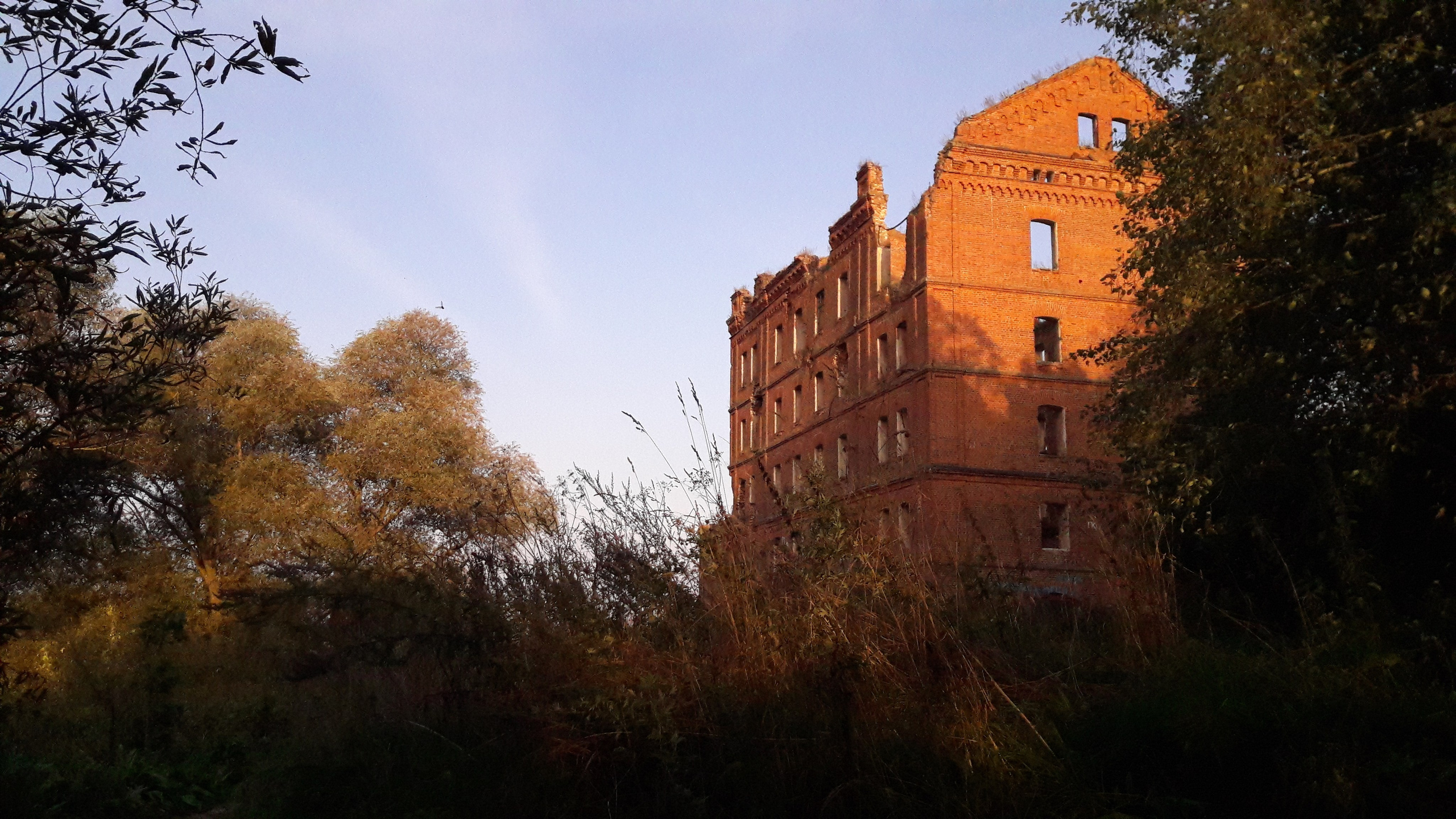 Автор: Анастасия Лапшина