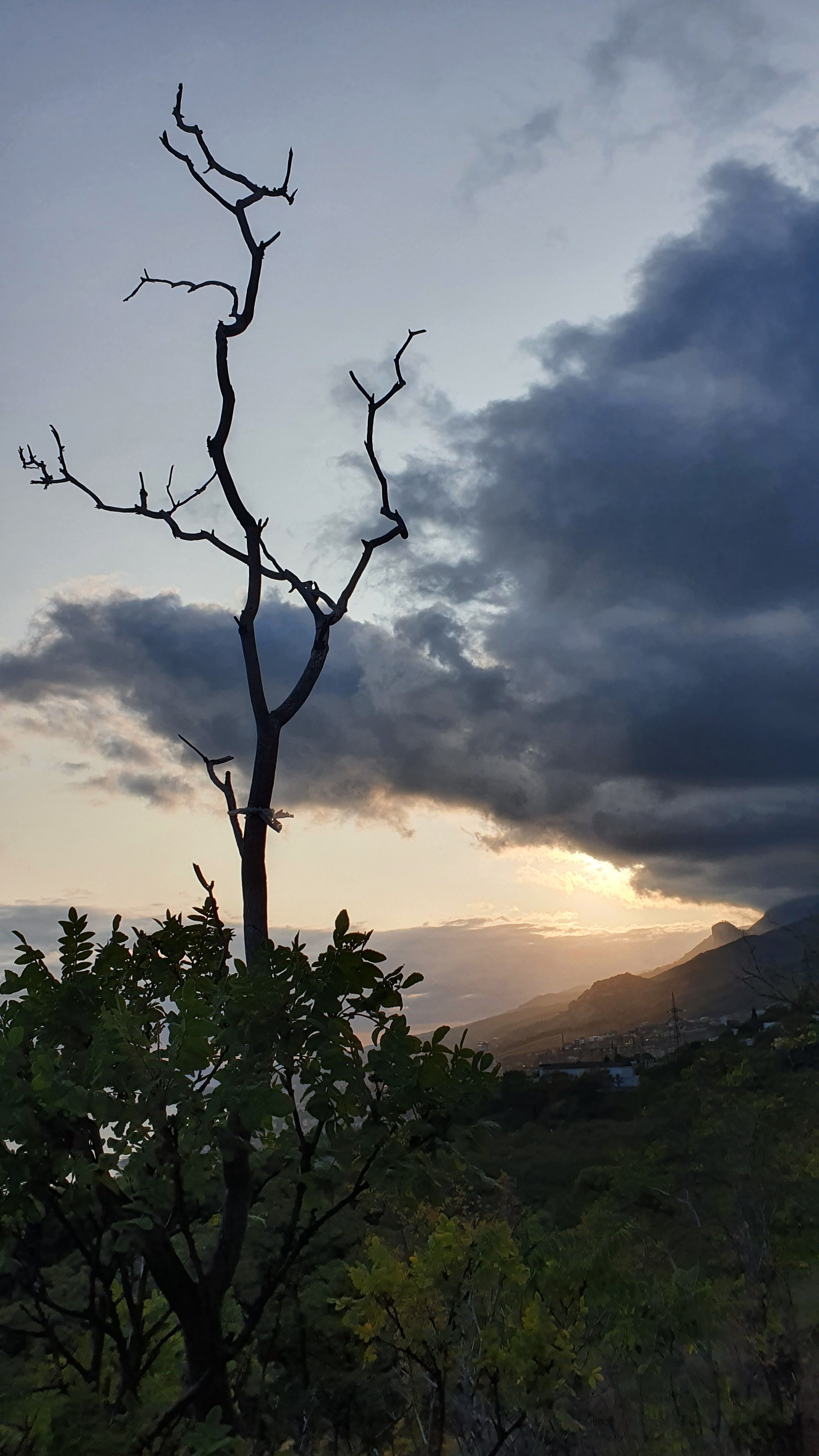 Автор: Артем Богданов