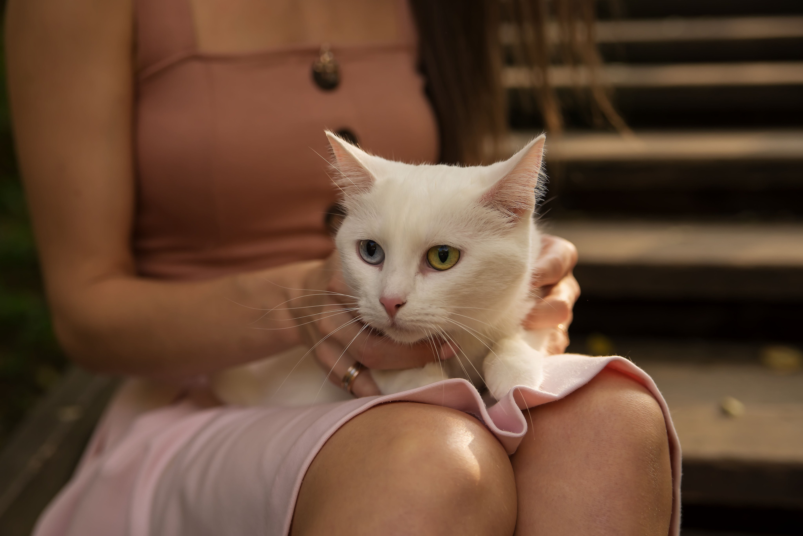 Семейные фотосессии. Фотограф в Москве Аня Цыплакова