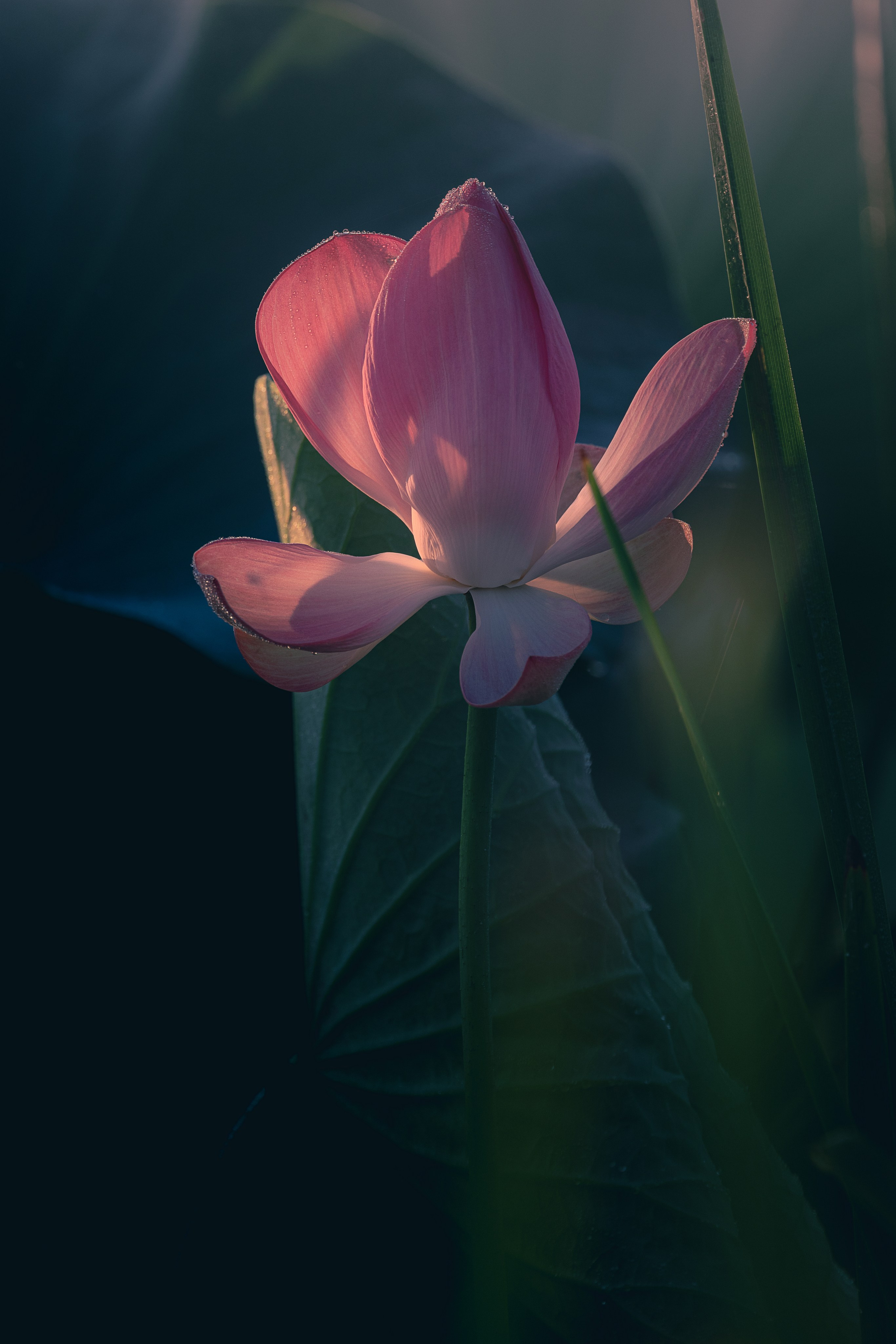 Астраханская область 2025 | Фотограф Дмитрий Купрацевич. Дмитрий Купрацевич профессиональный пейзажный и travel-фотограф