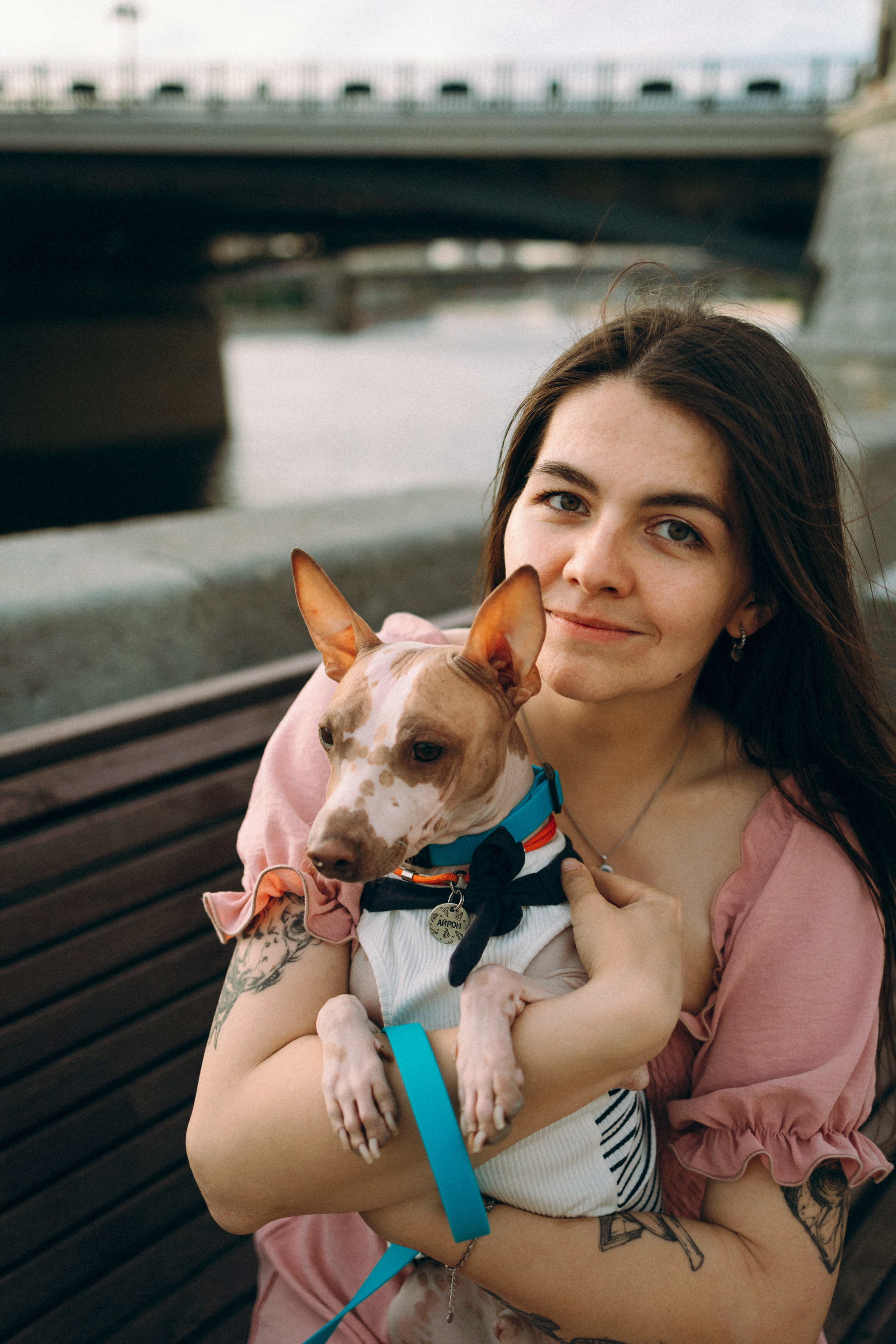 Глаша, Айрон, Ксюша и Оля. Фотограф анималист Анастасия Пикей