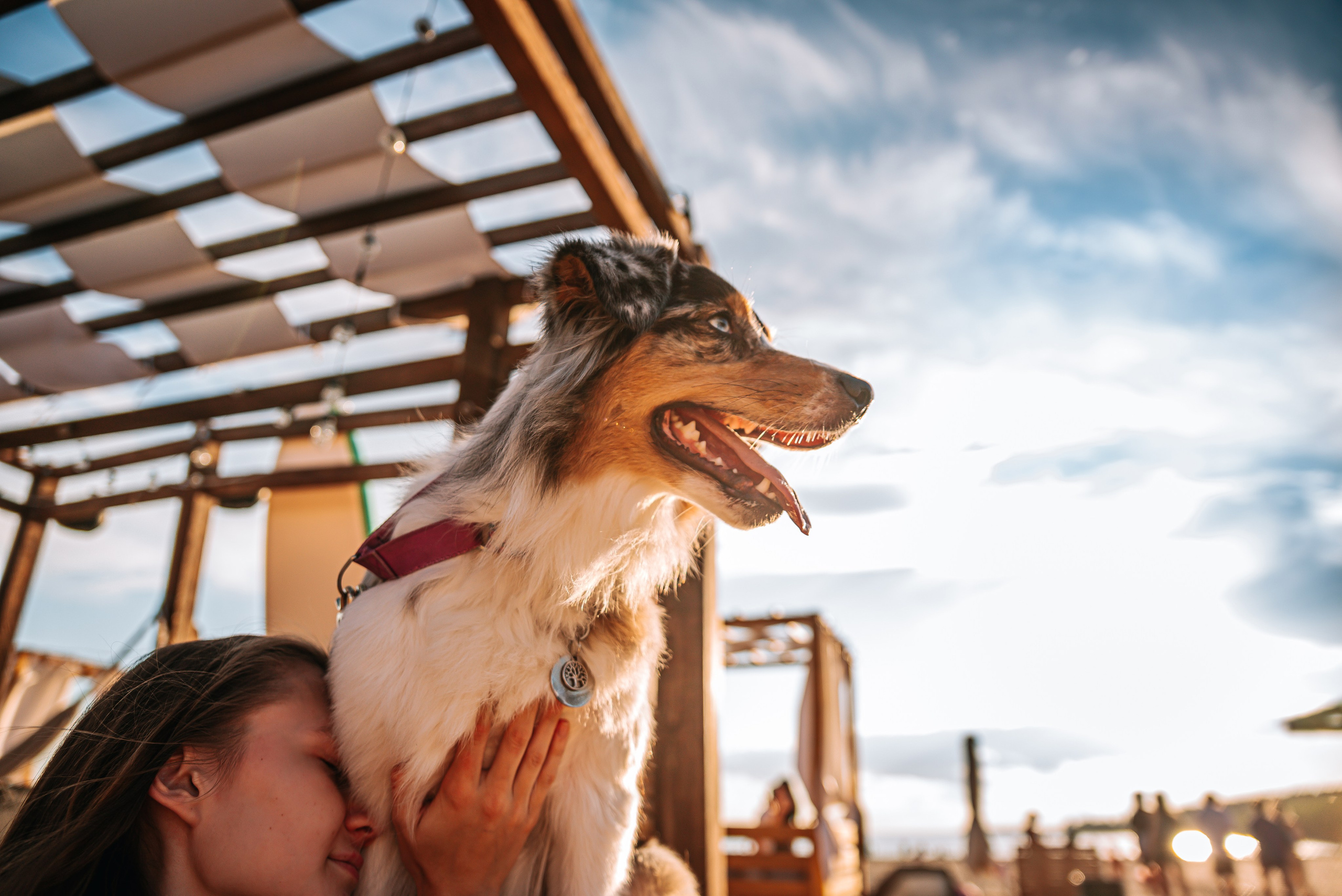 No Bad Days. Главная