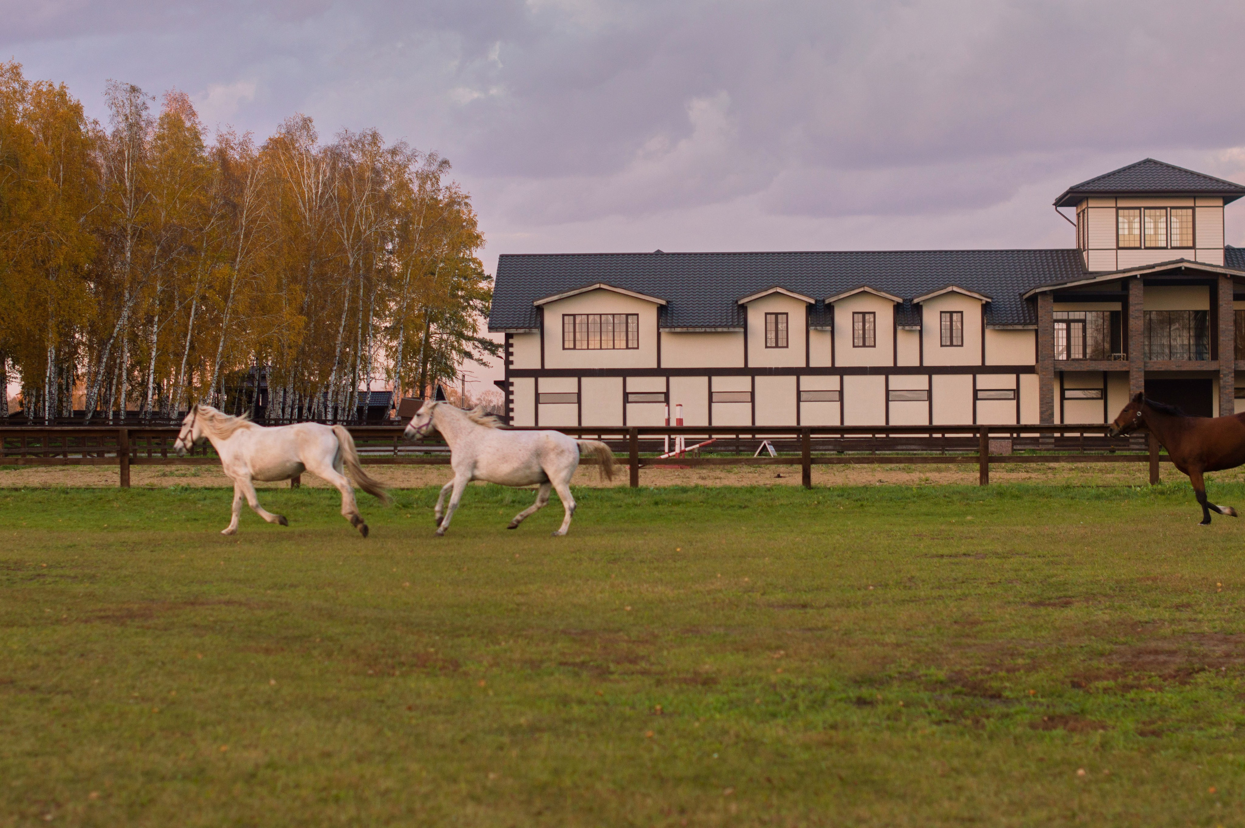 Оксана. Мария-женский фотограф в Красноярске