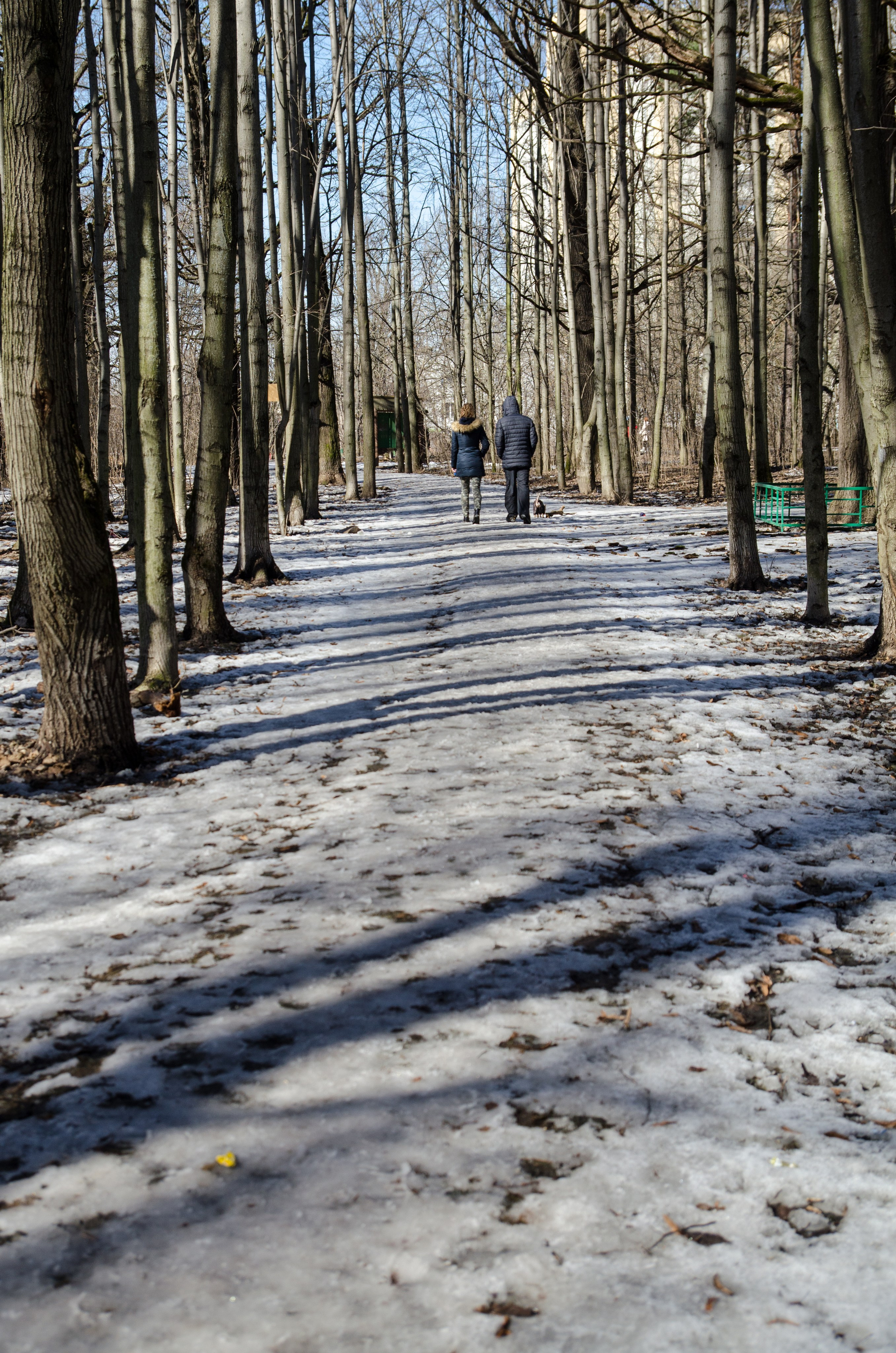 Интересное рядом. Фото, видео, монтаж