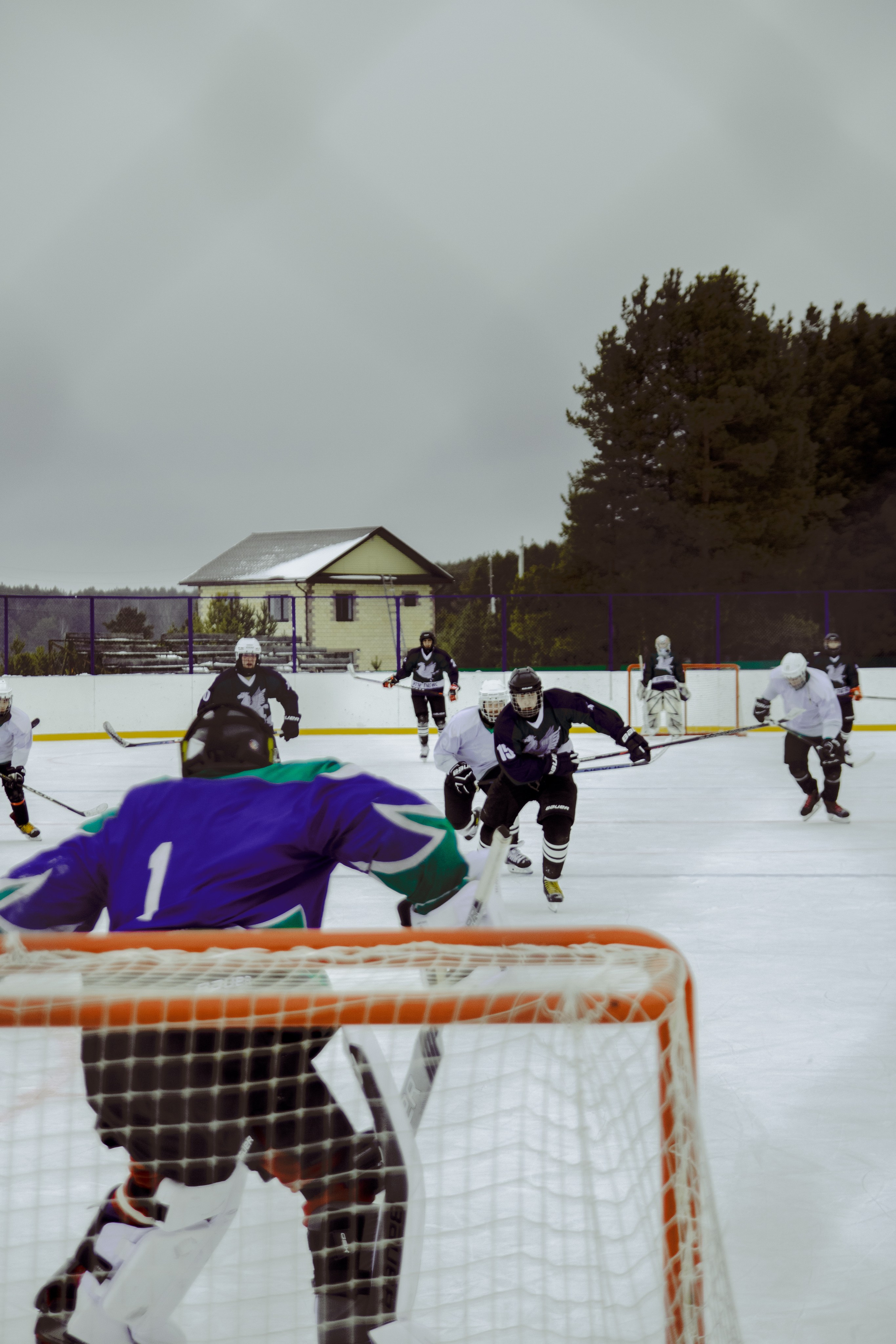 Хоккей 29.12.2024