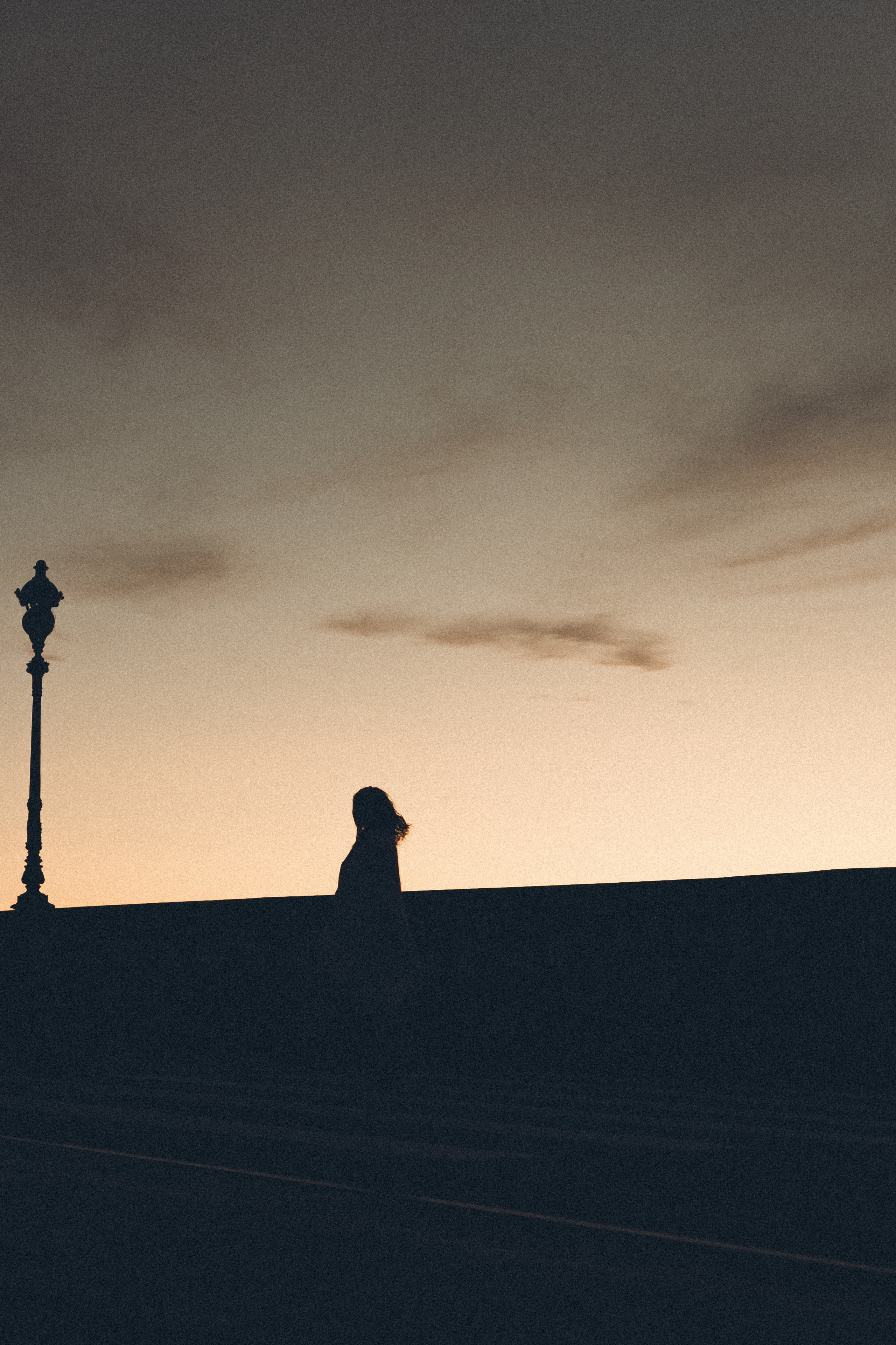 РАССВЕТ С РАЗВОДНЫМИ МОСТАМИ. Профессиональный фотограф, Санкт-Петербург — Виктория Богомолова