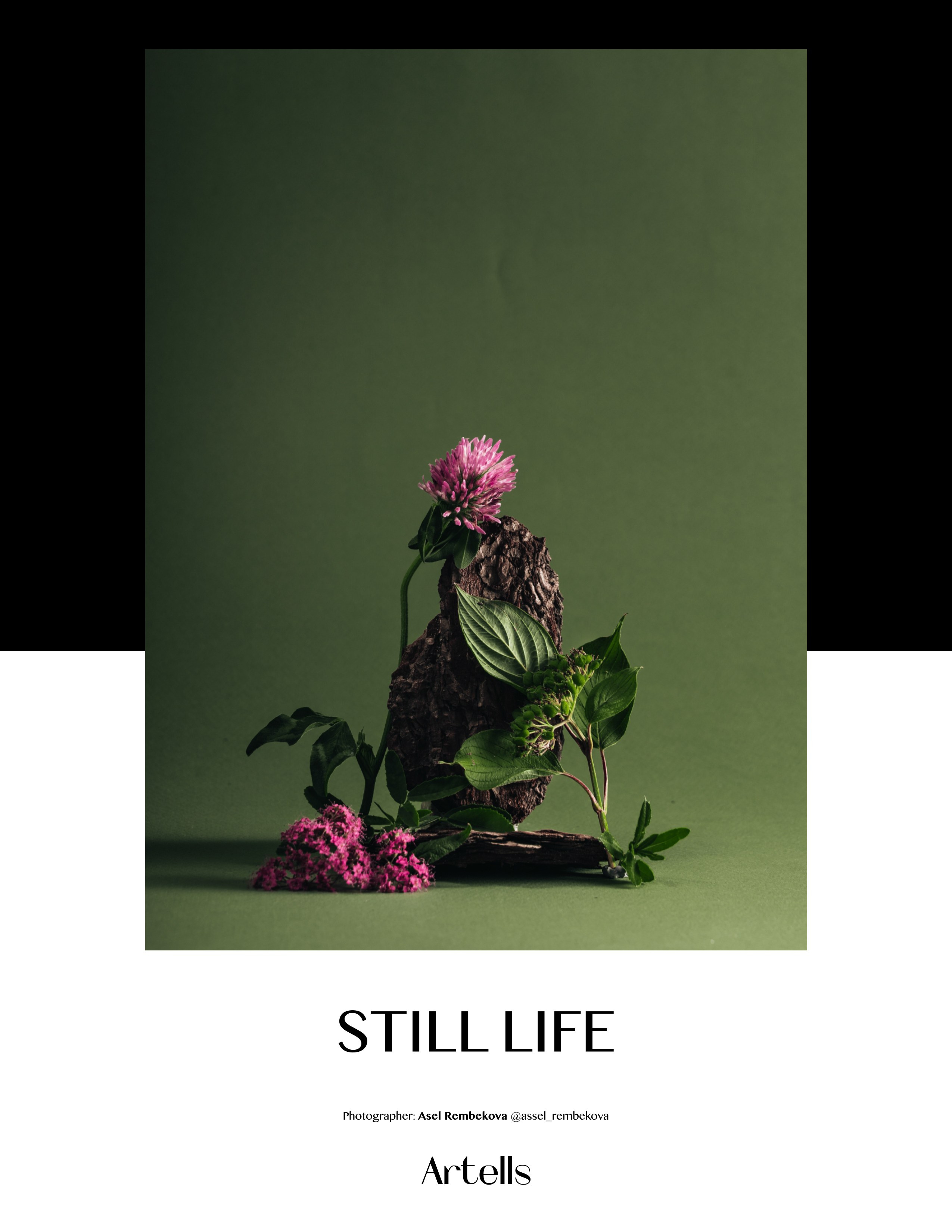 Artells Volume 1899. Асель Рембекова