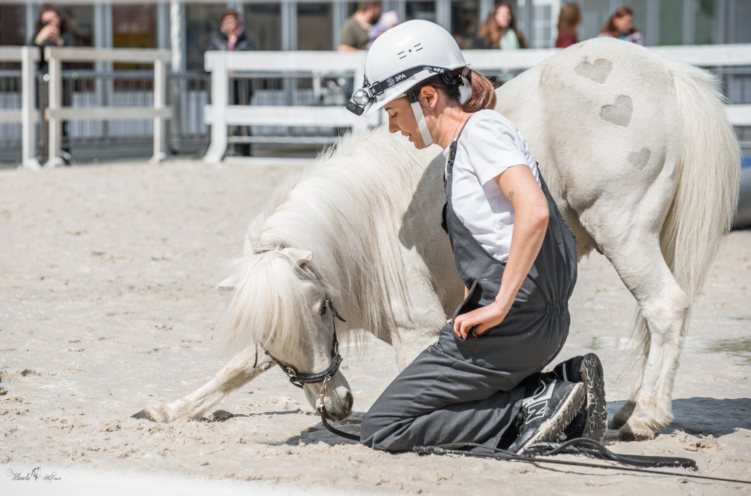 Эквирос, Москва. Конный фотограф в Саратове Юлия Иванова