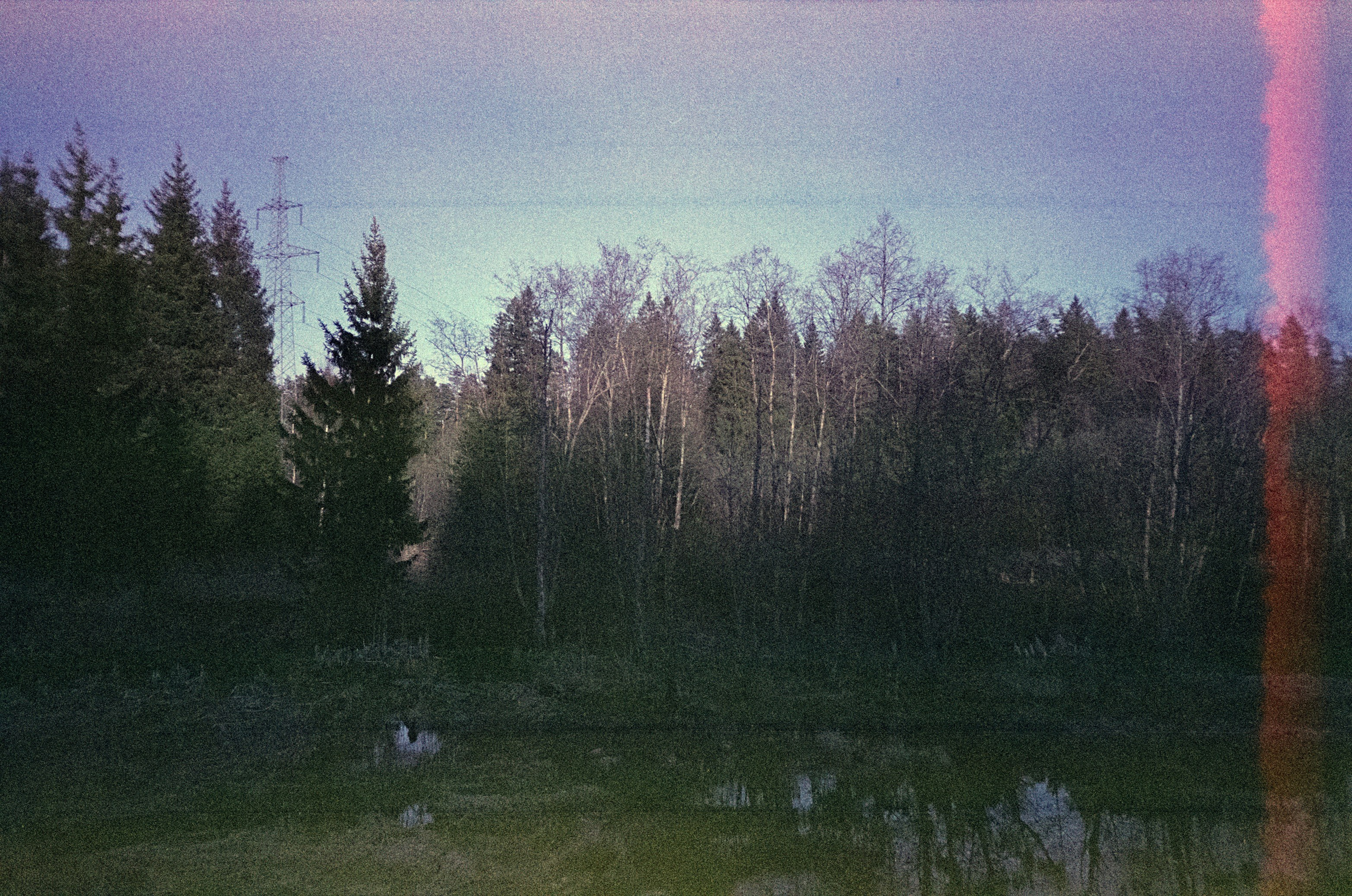 Ricoh R1 | Fujicolor Superia X-tra 400 (просрочка) @ ISO 100