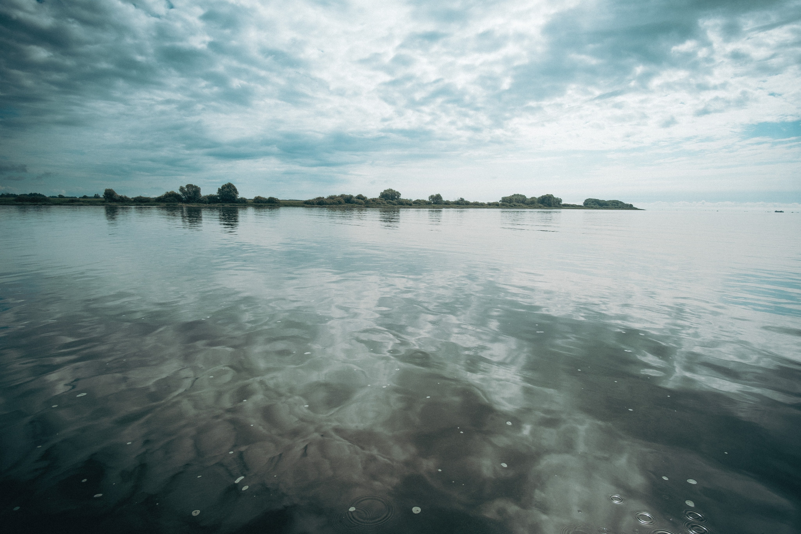 Other. Dmitry Ippolitov