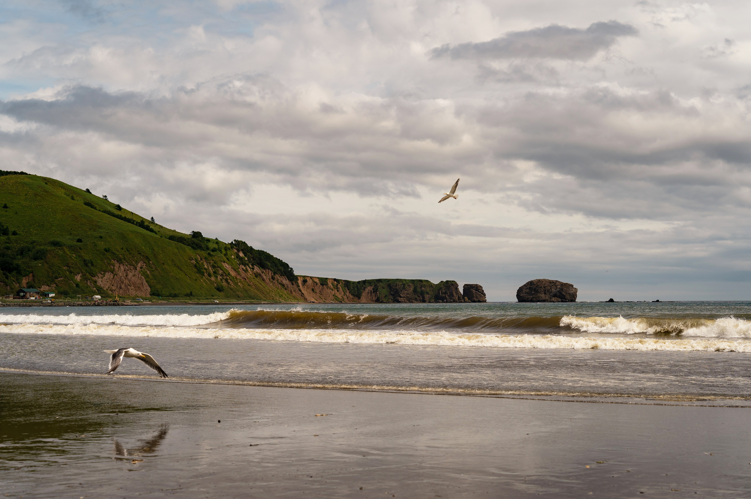 Сахалин. Семейный фотограф Варвара Сорока в городе Москве