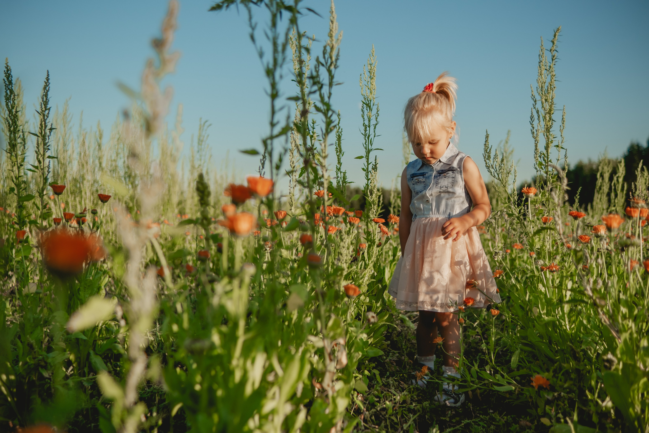 Семейная съемка в лованде. Nattie.ph