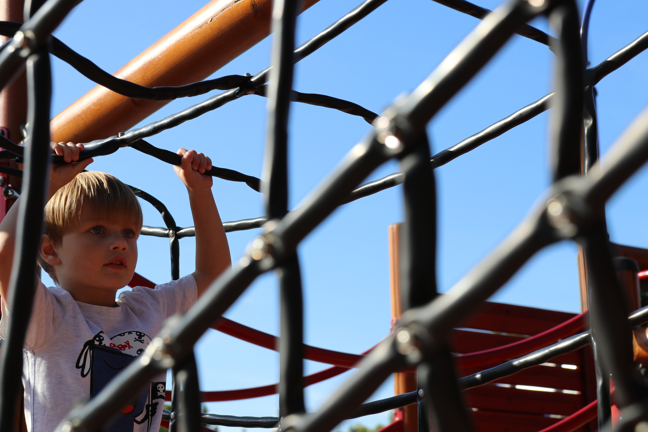 Любимое. Фотограф в Санкт-Петербурге Анна Сосновская