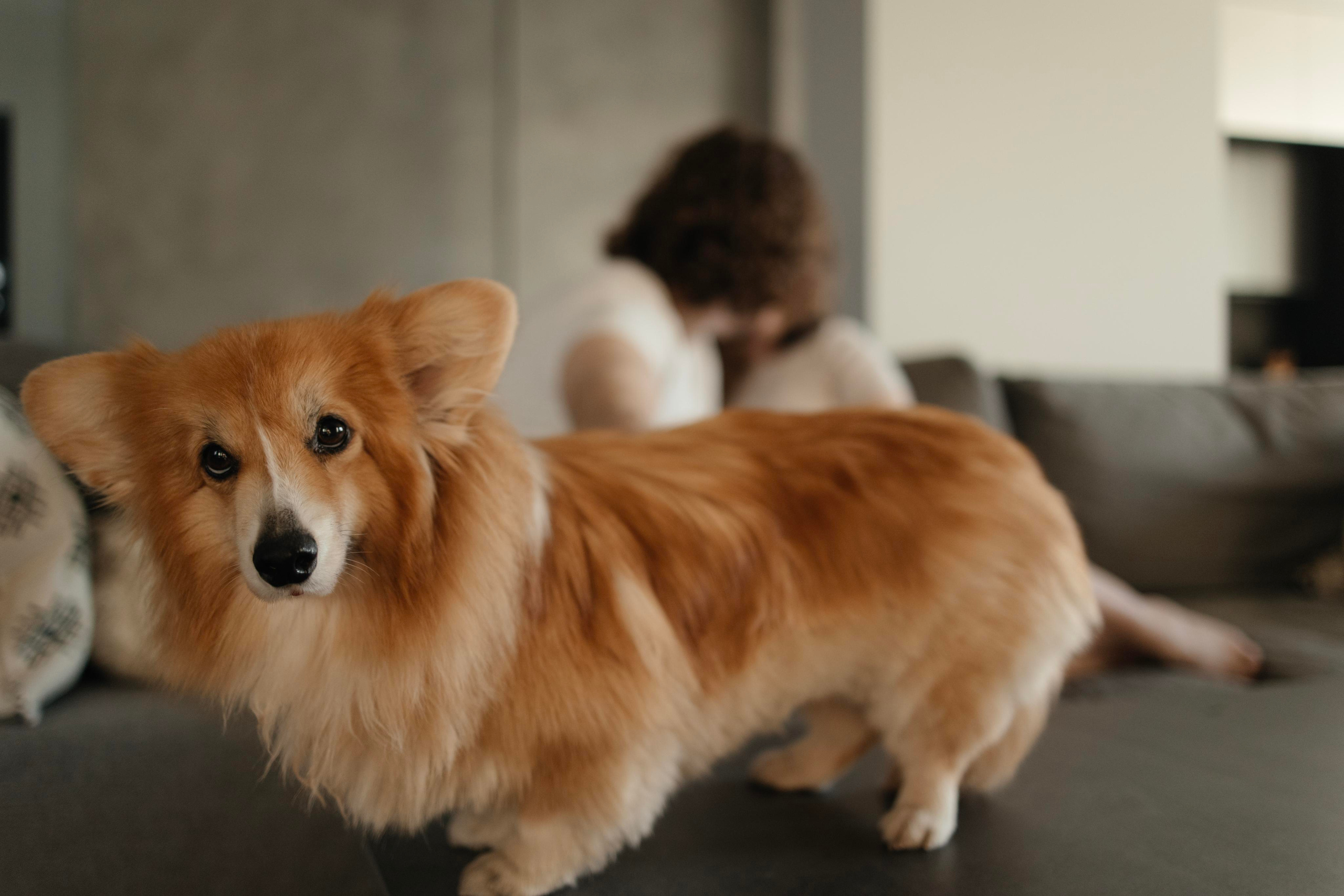 F. Фотограф в Новосибирске и Москве