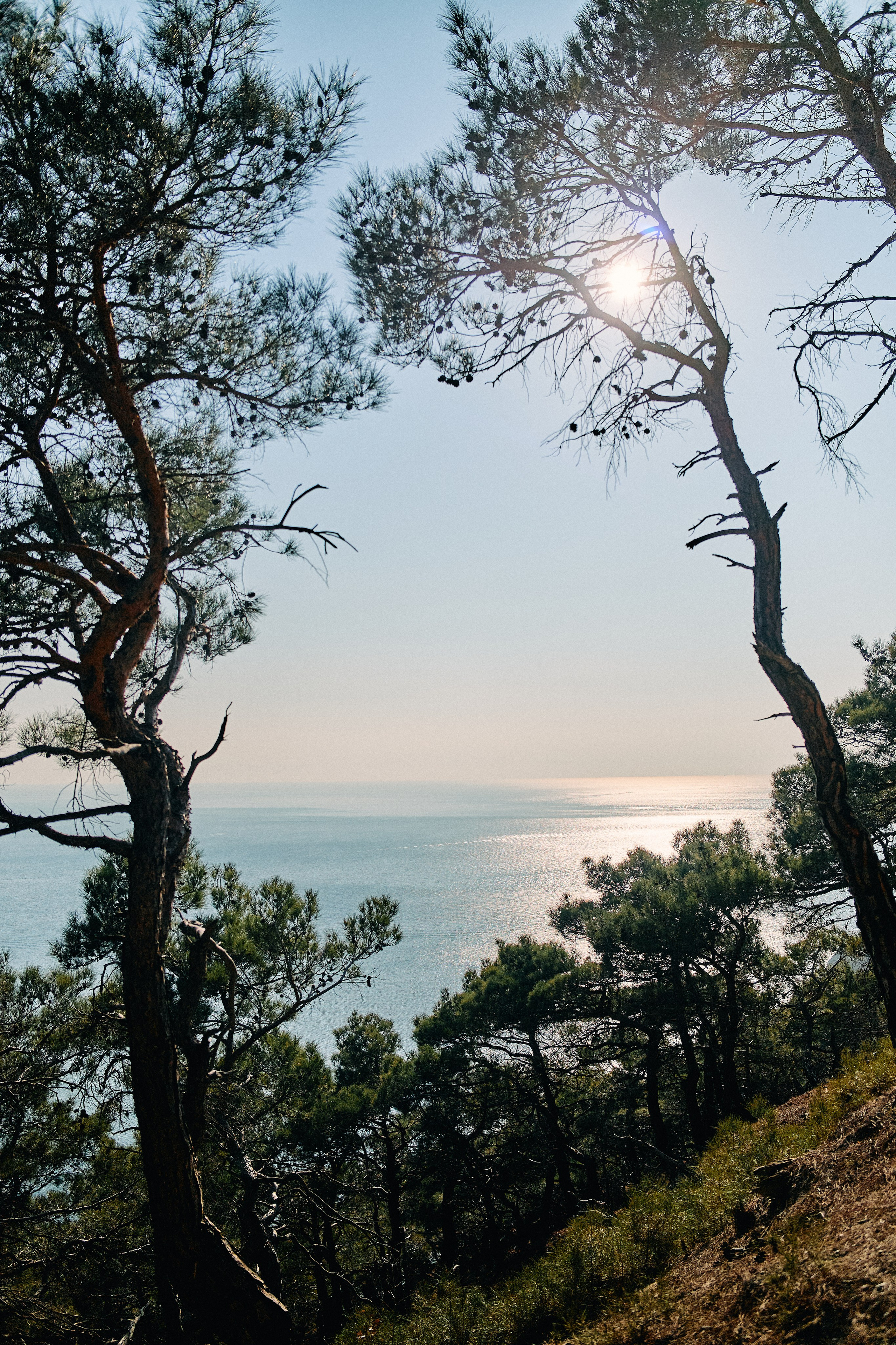 Юг России. Профессиональный Фотограф во Владимире, в Москве и в Суздале — Полина Романычева