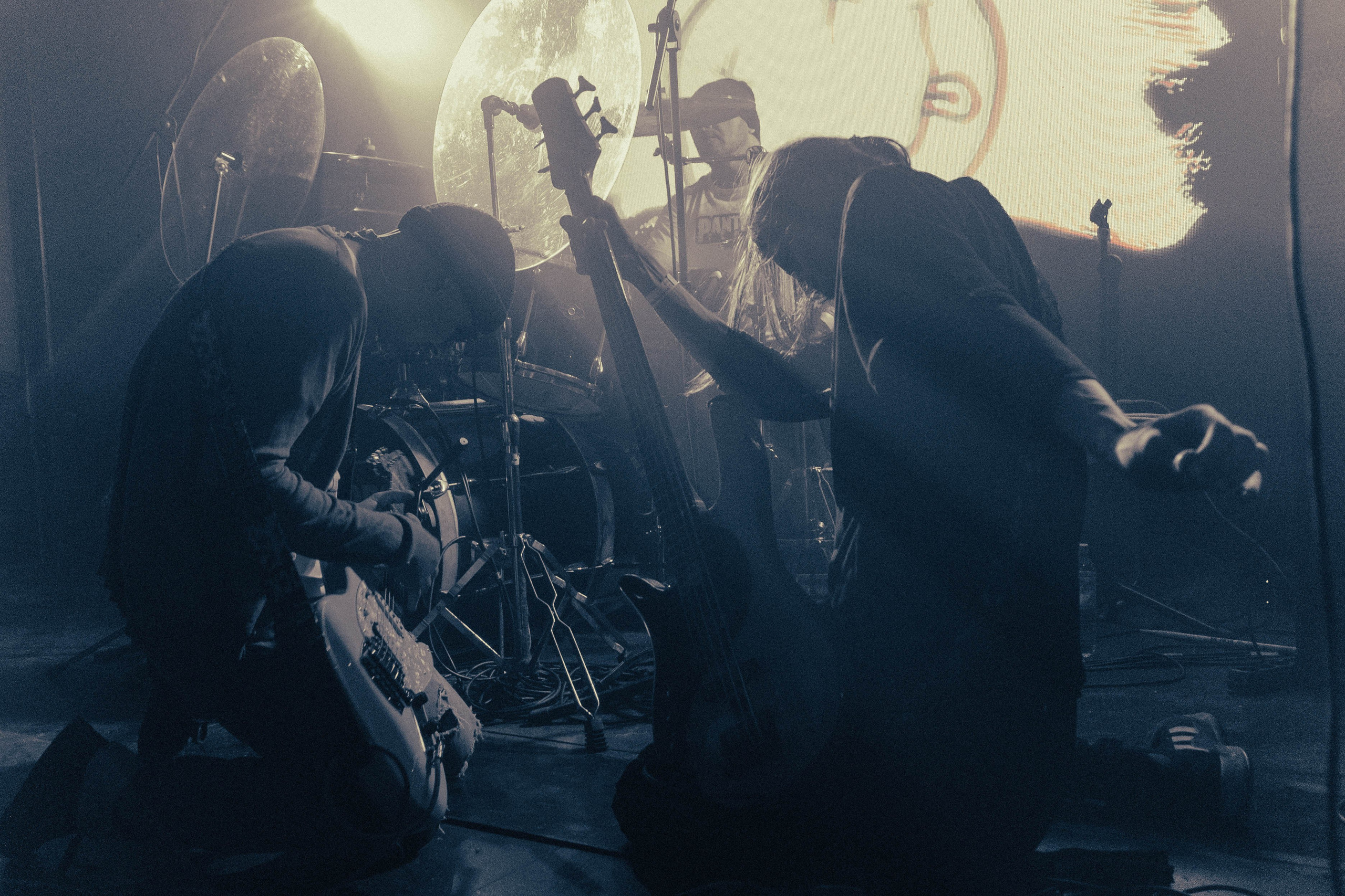 Concerts. Фотограф Алексей Журавлёв