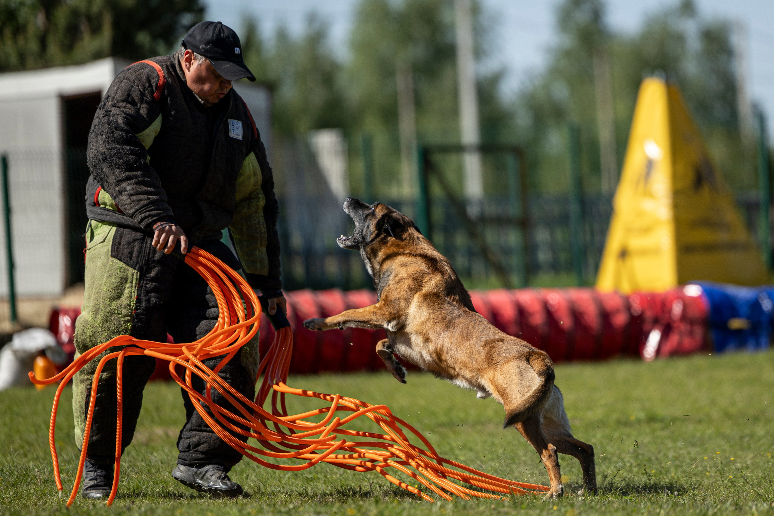 Испытания по мондьорингу в Нижнем Новгороде. Фотограф-анималист Анна Маринич