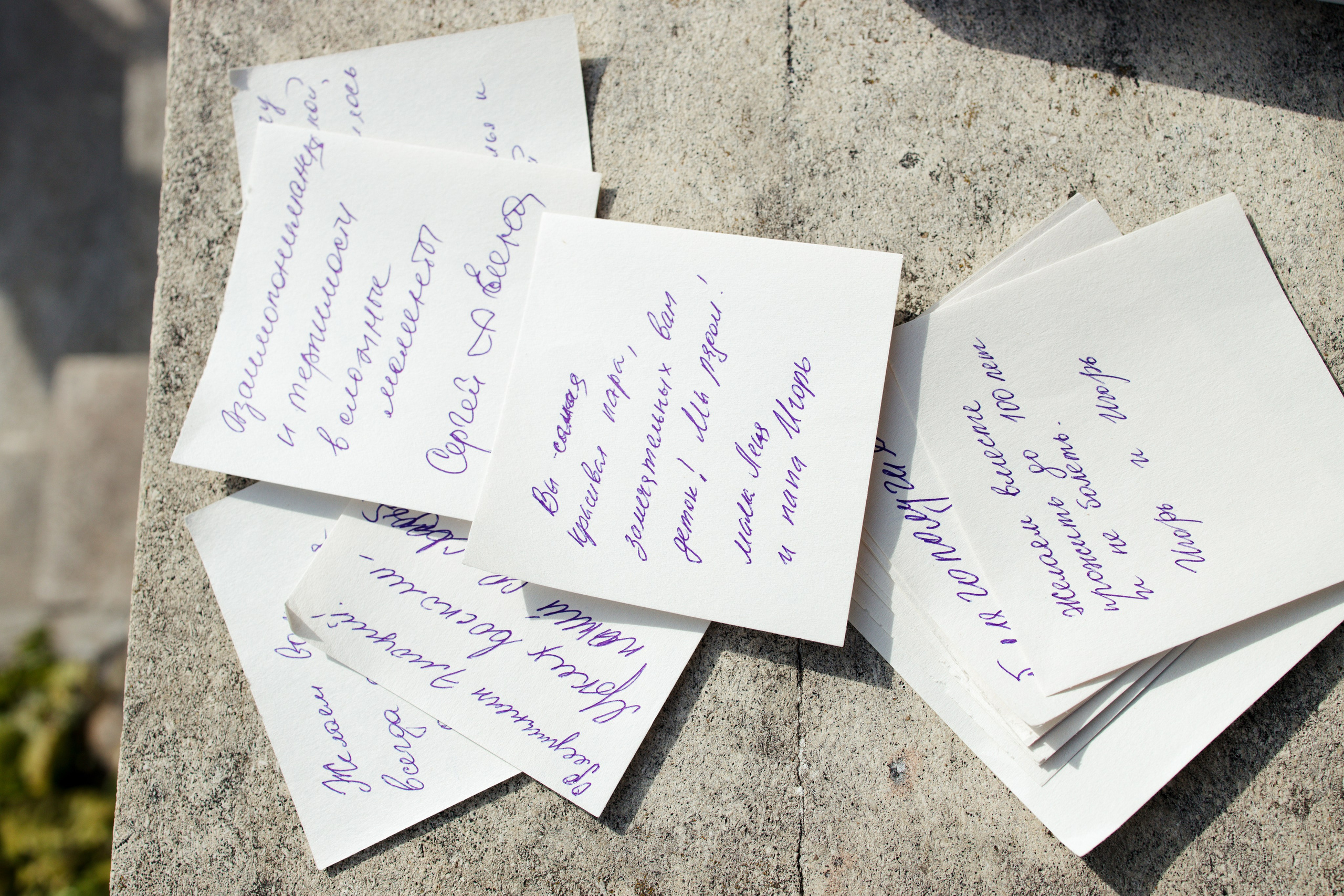 Никита и Александра. Фотограф Москва, Светлана Королева