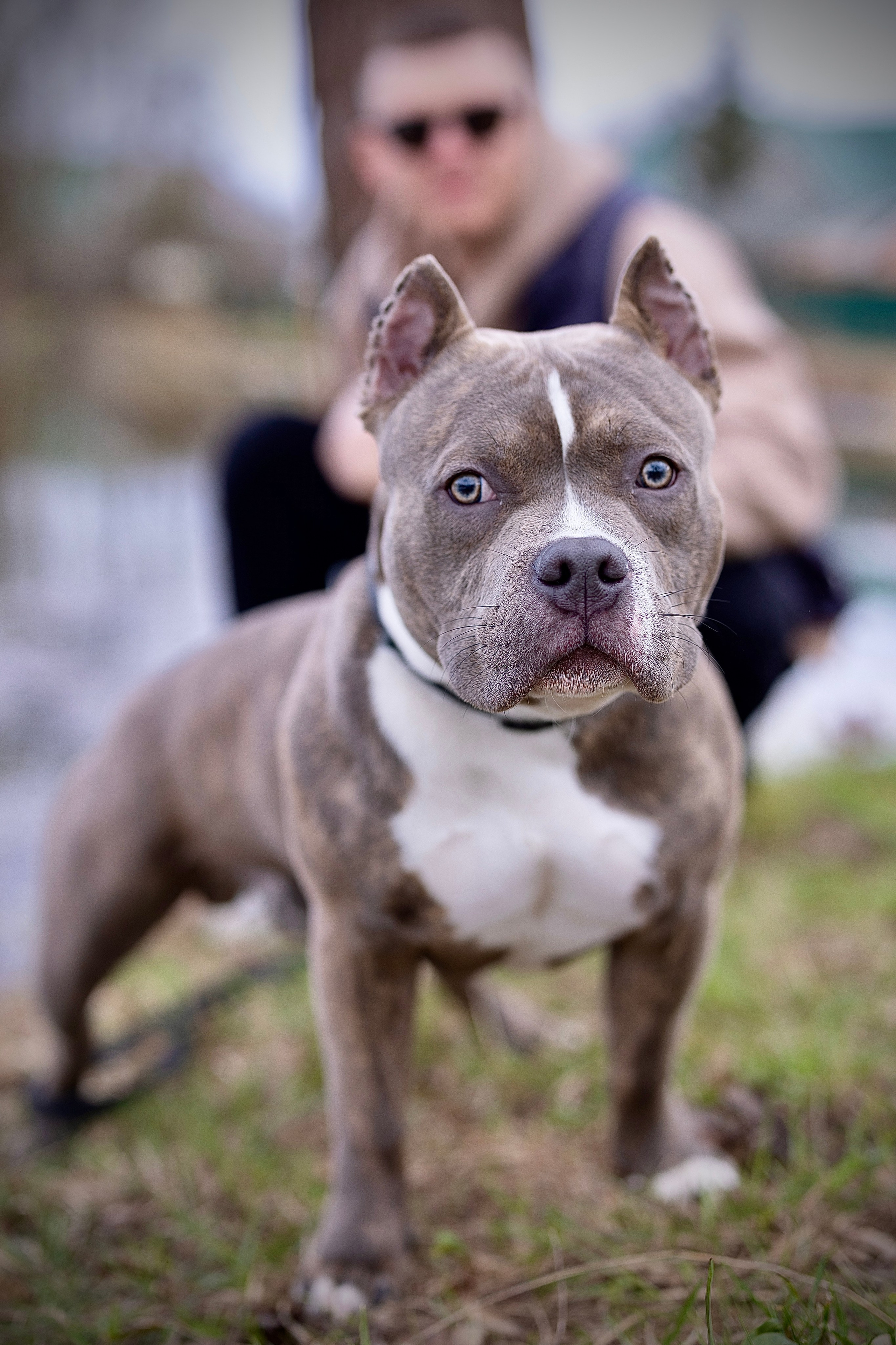 Продающий контент для экспертов и предпринимателей. Фотограф в Москве Талызина Наталья