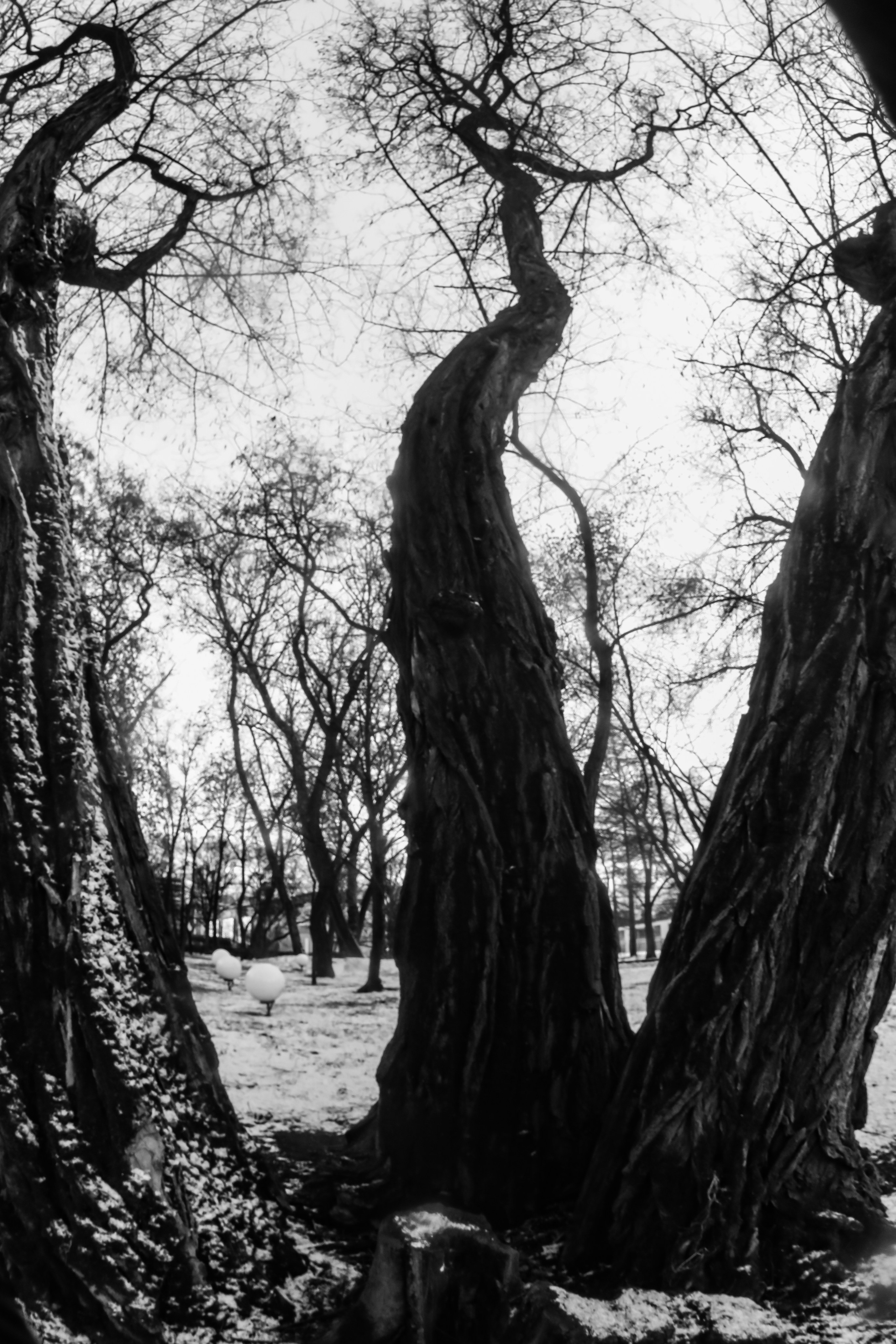 I. Стас Привалов