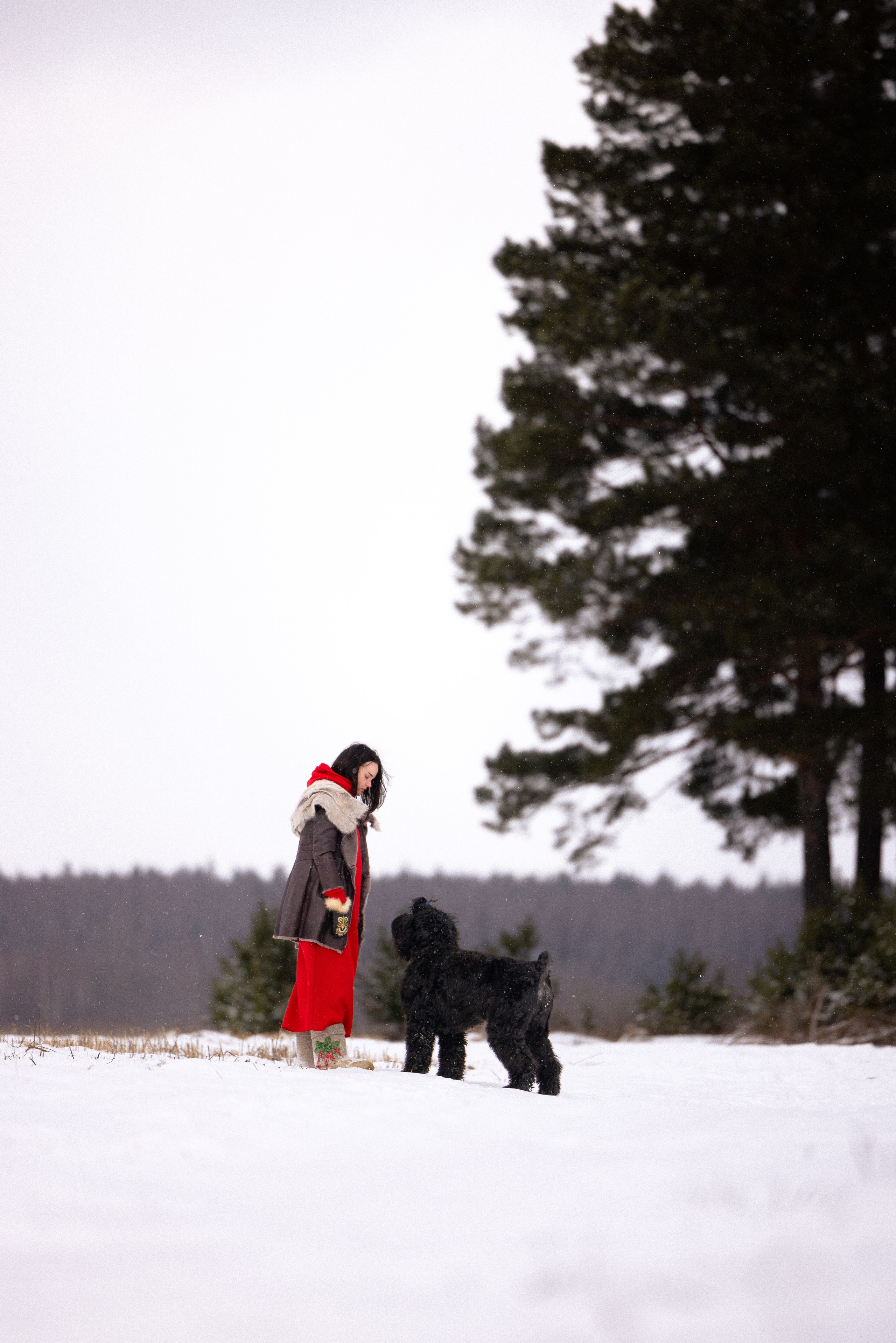Анастасия и Ирга. Фотограф и видеограф анималист Аганина Дарья