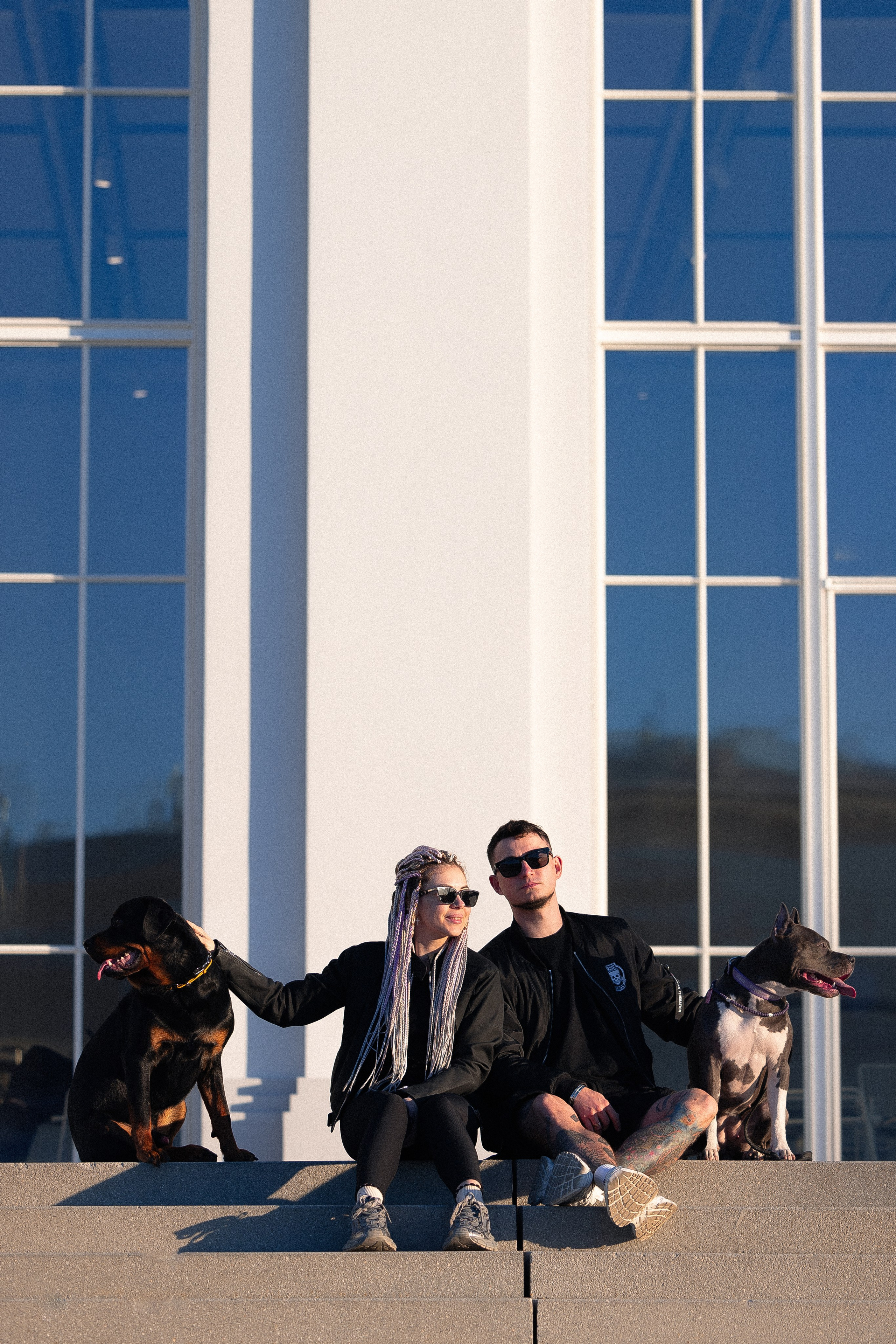 Катя, Леша, Трой и Лея. Фотограф и видеограф анималист Аганина Дарья