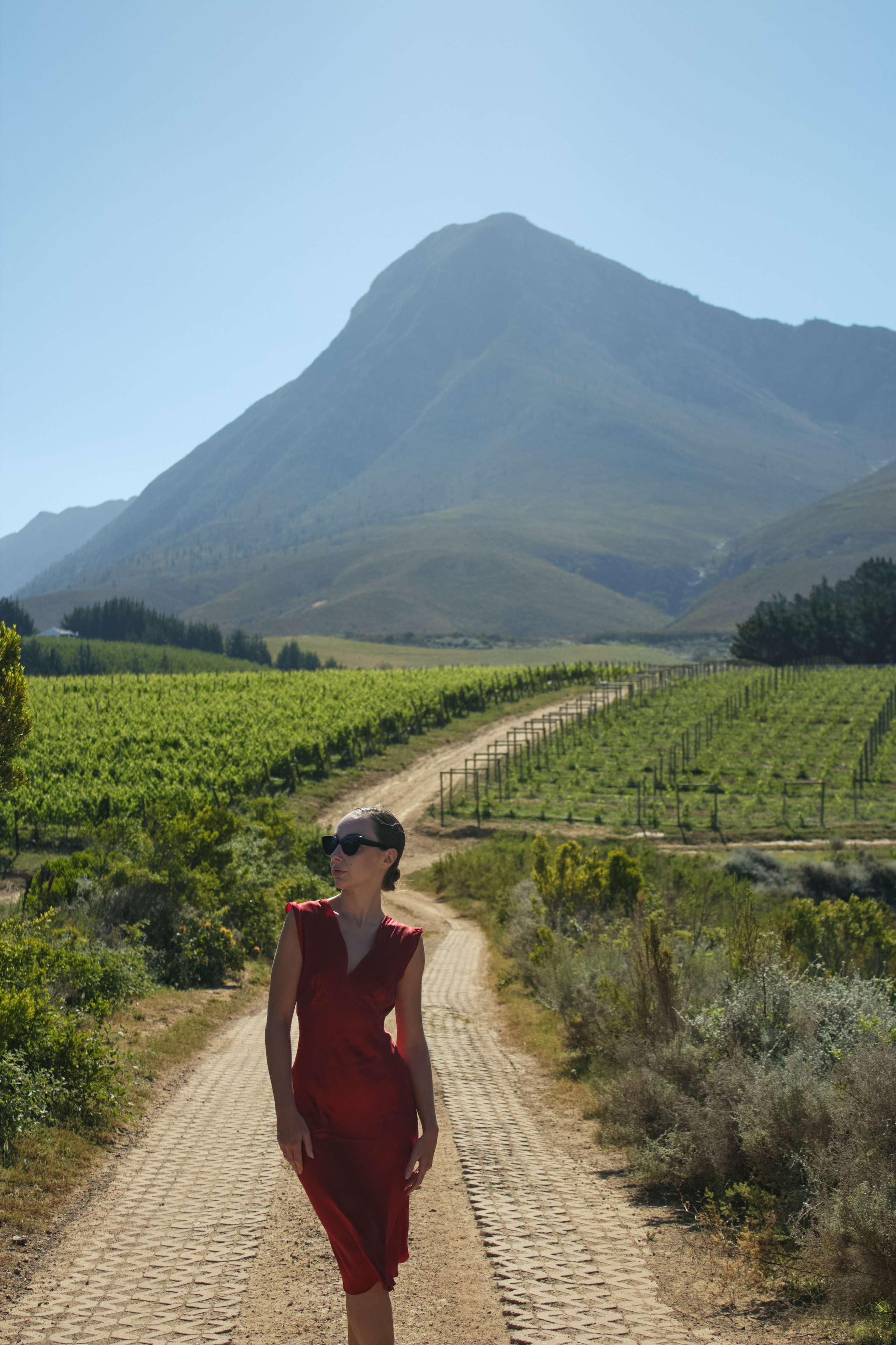ЮАР. Профессиональный Фотограф во Владимире, в Москве и в Суздале — Полина Романычева