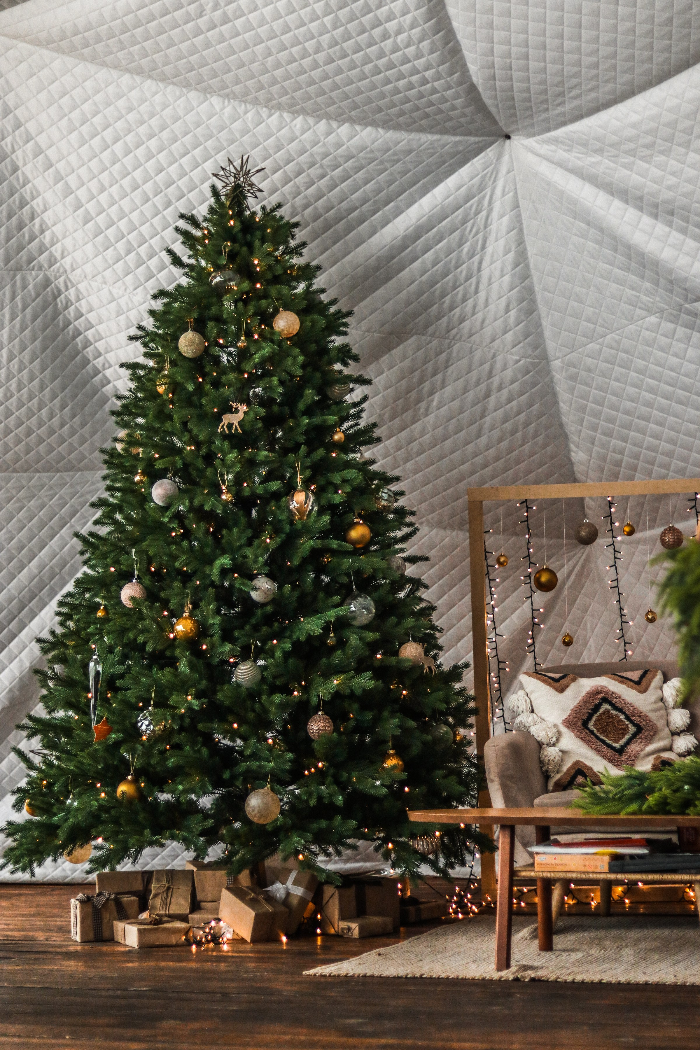 «Вдох» кафе, респ. Алтай. Контент фотограф Дмитрий Борисов