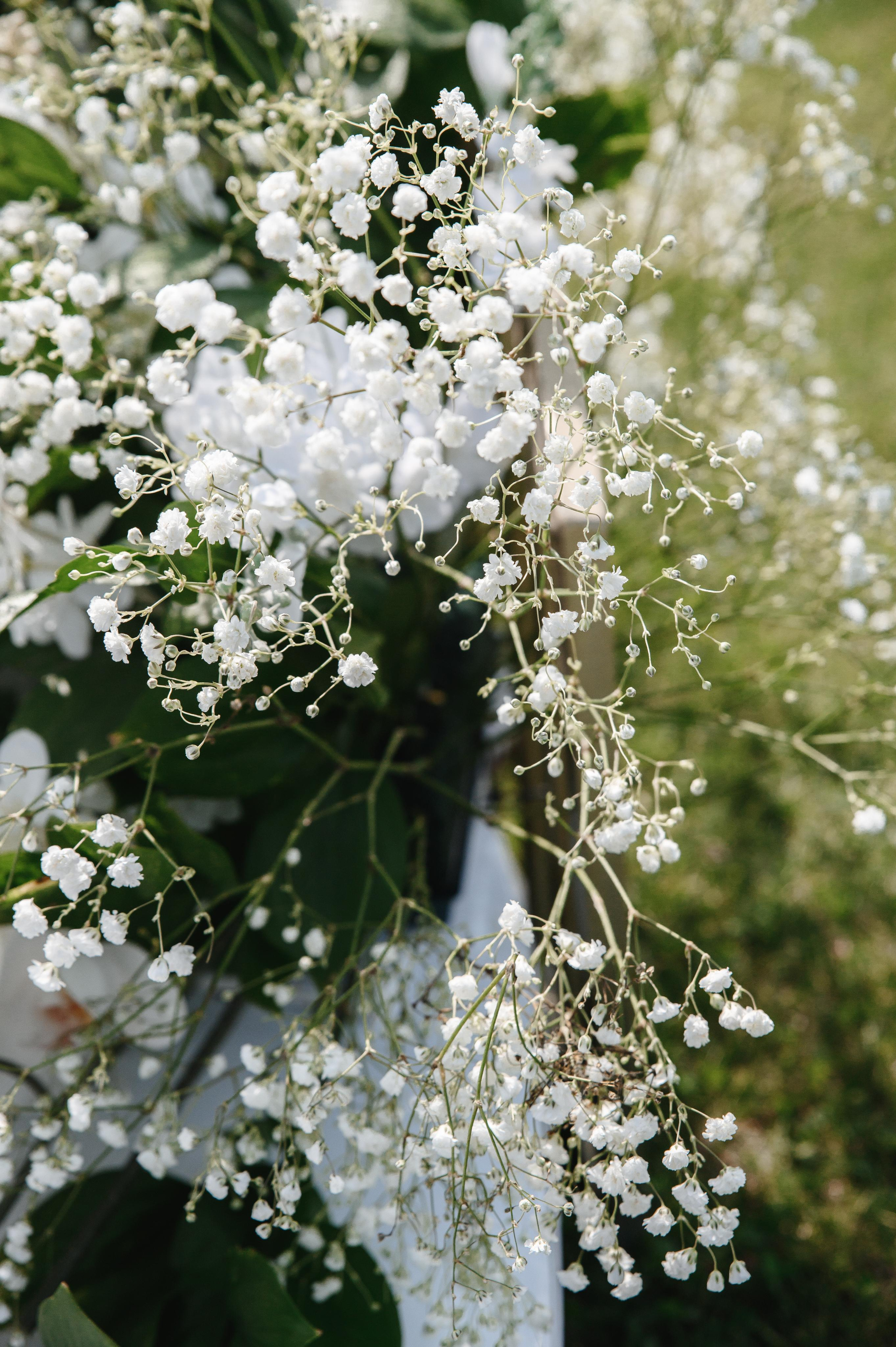Свадебный фотограф Самара. Свадебный фотограф Тольятти Самара Холмов Артем