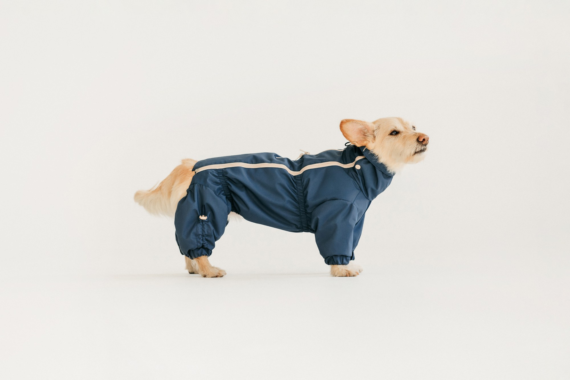 Одежда Lapa`s brand. Фотограф-анималист Елена Радченко, Москва