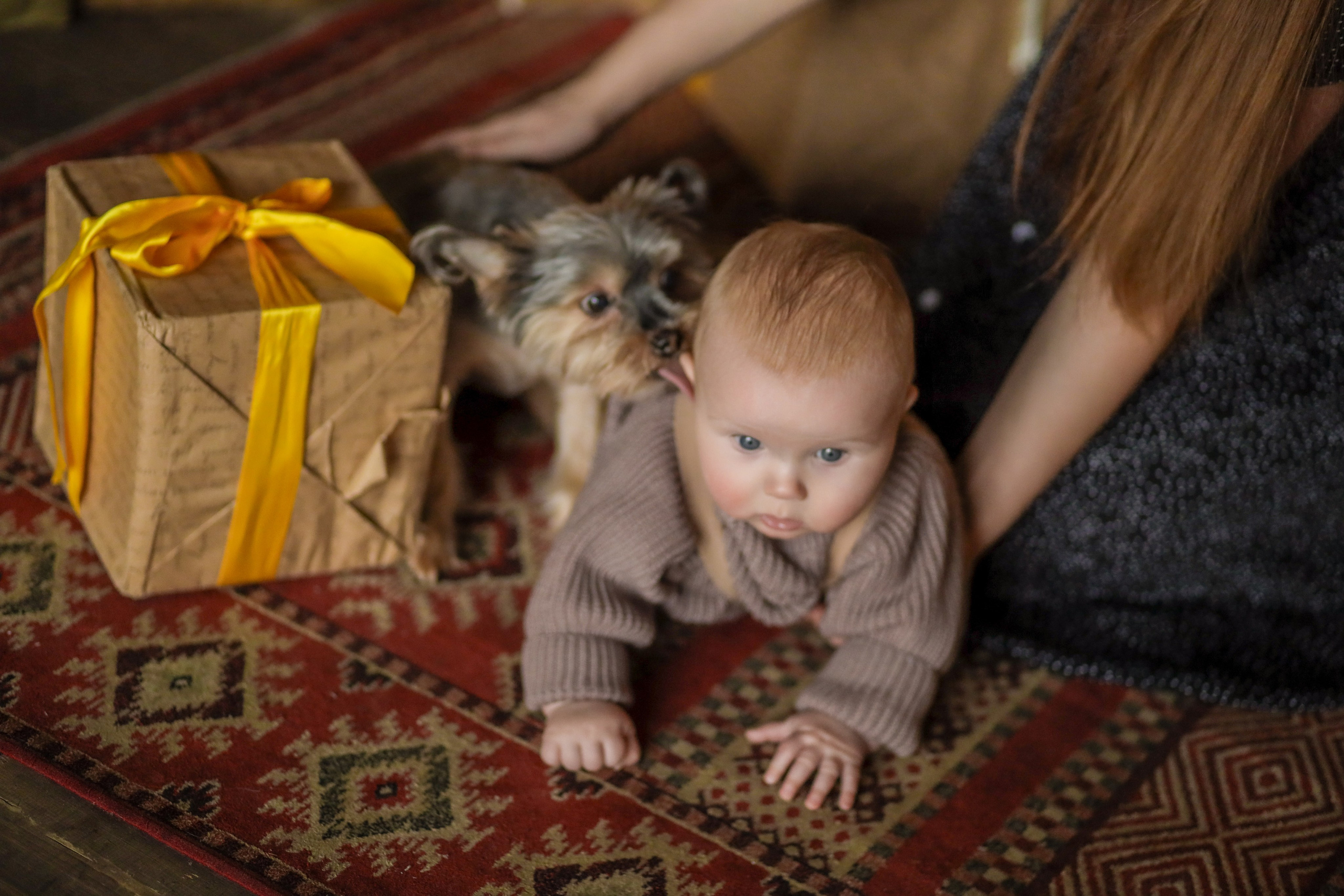 Alex, Anastasia и Аrseniy. Kharchenkotatianaweddingphoto