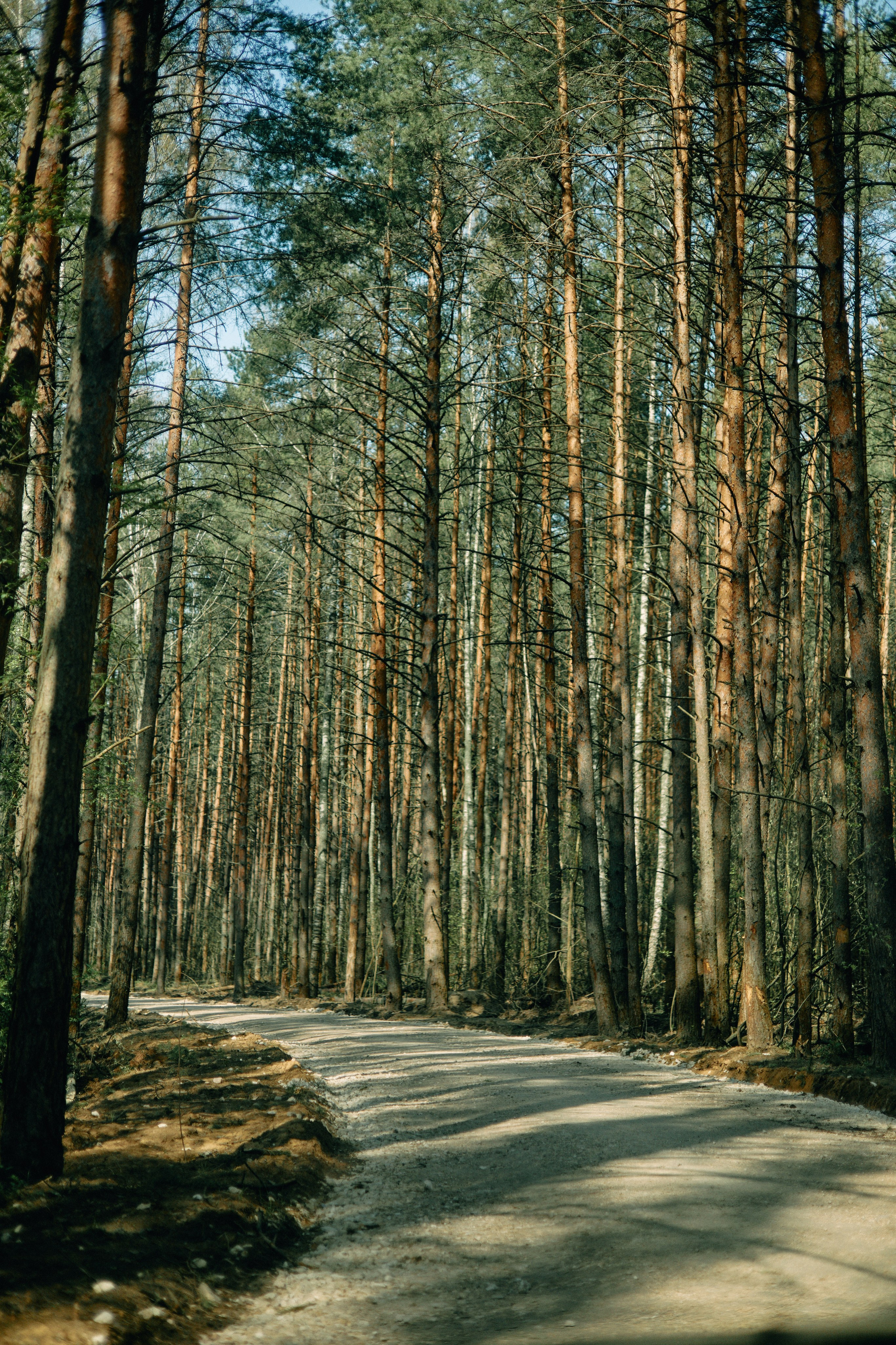 Бутик-отель Поле летом. Профессиональный Фотограф во Владимире, в Москве и в Суздале — Полина Романычева